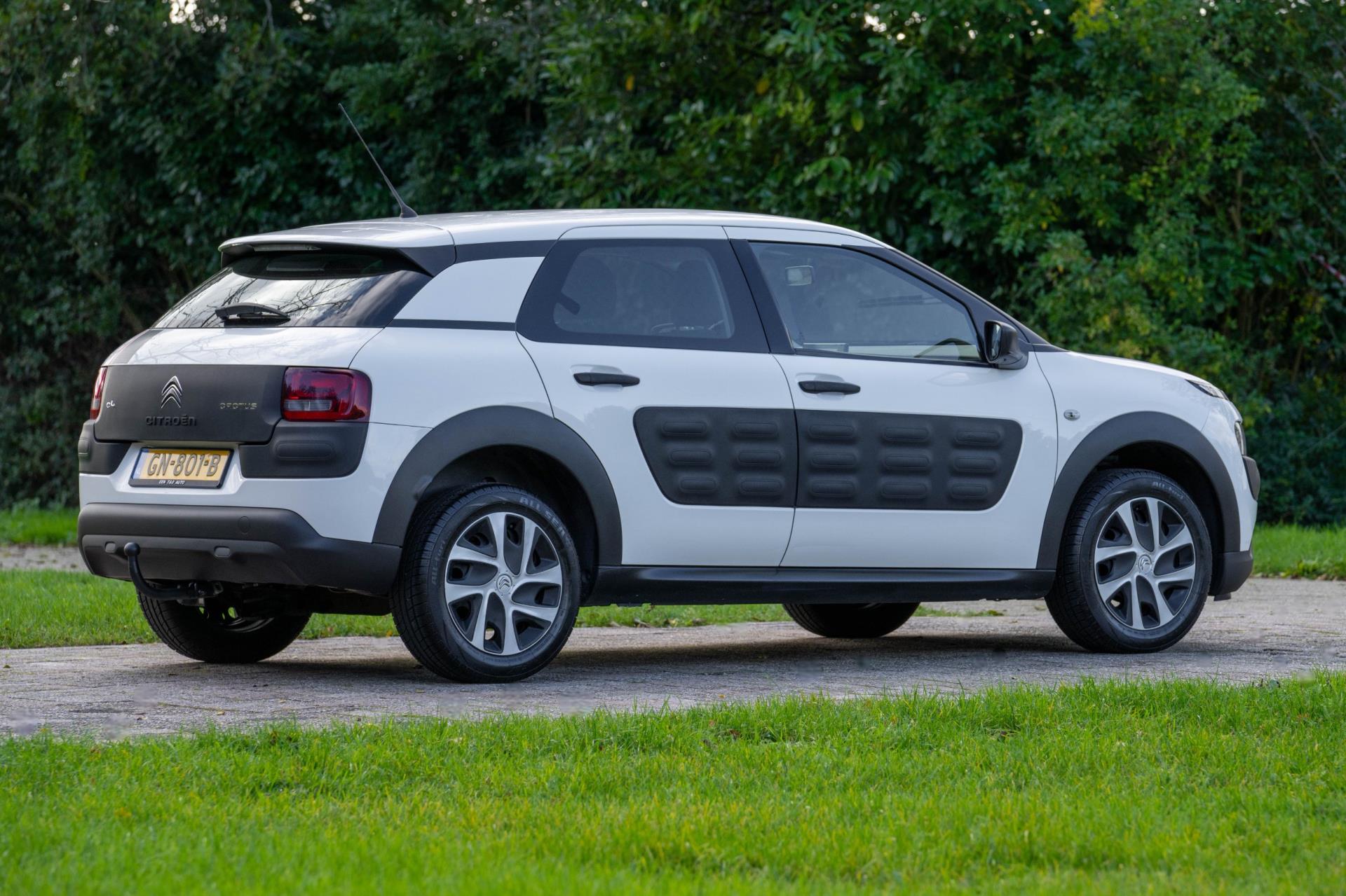Foto van Citroen C4 Cactus