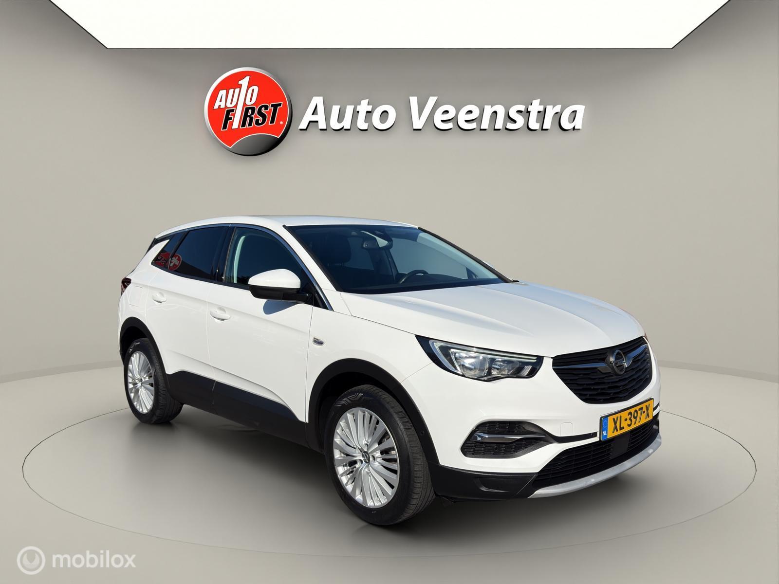Foto van Opel Grandland X
