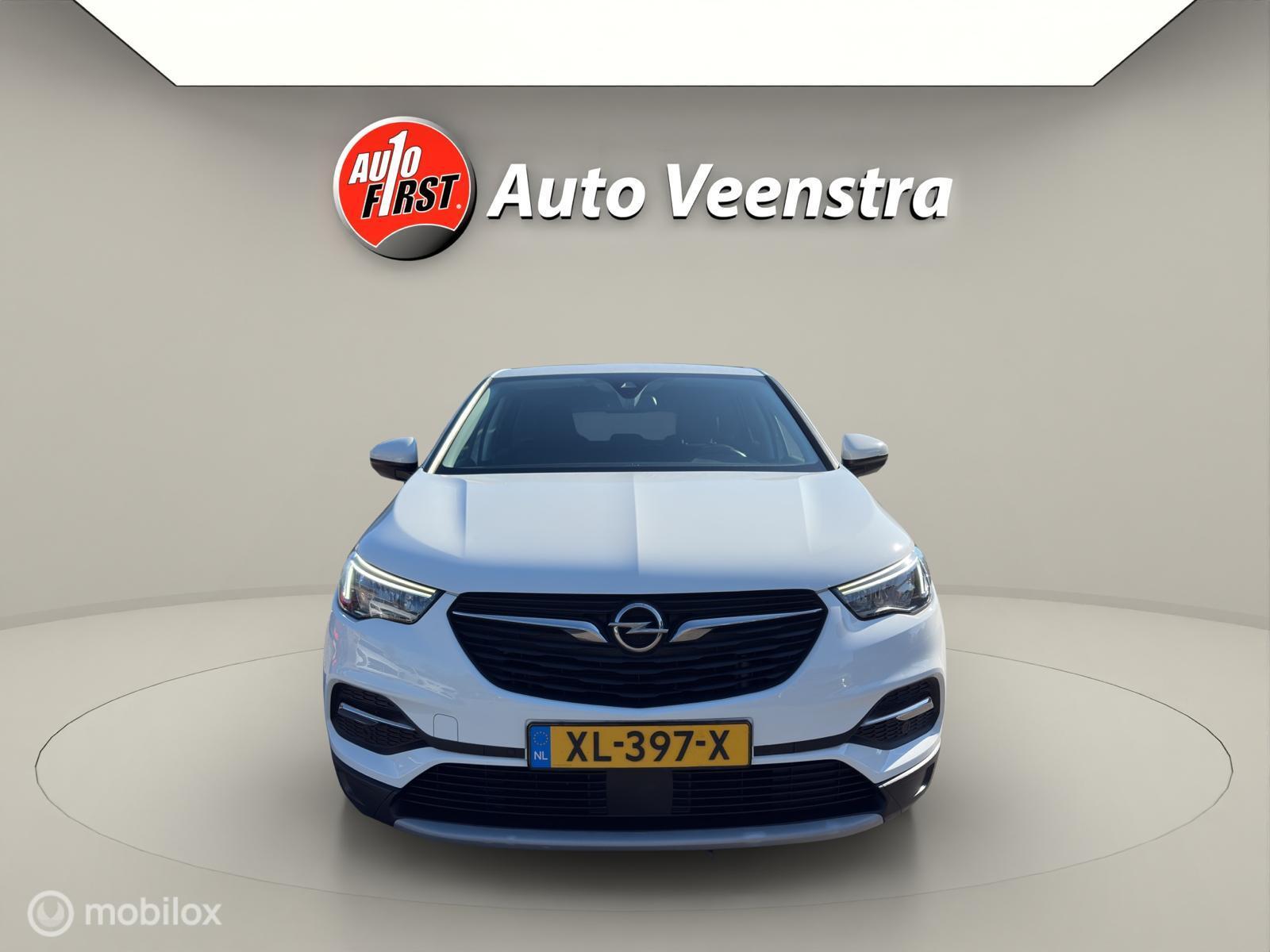 Foto van Opel Grandland X