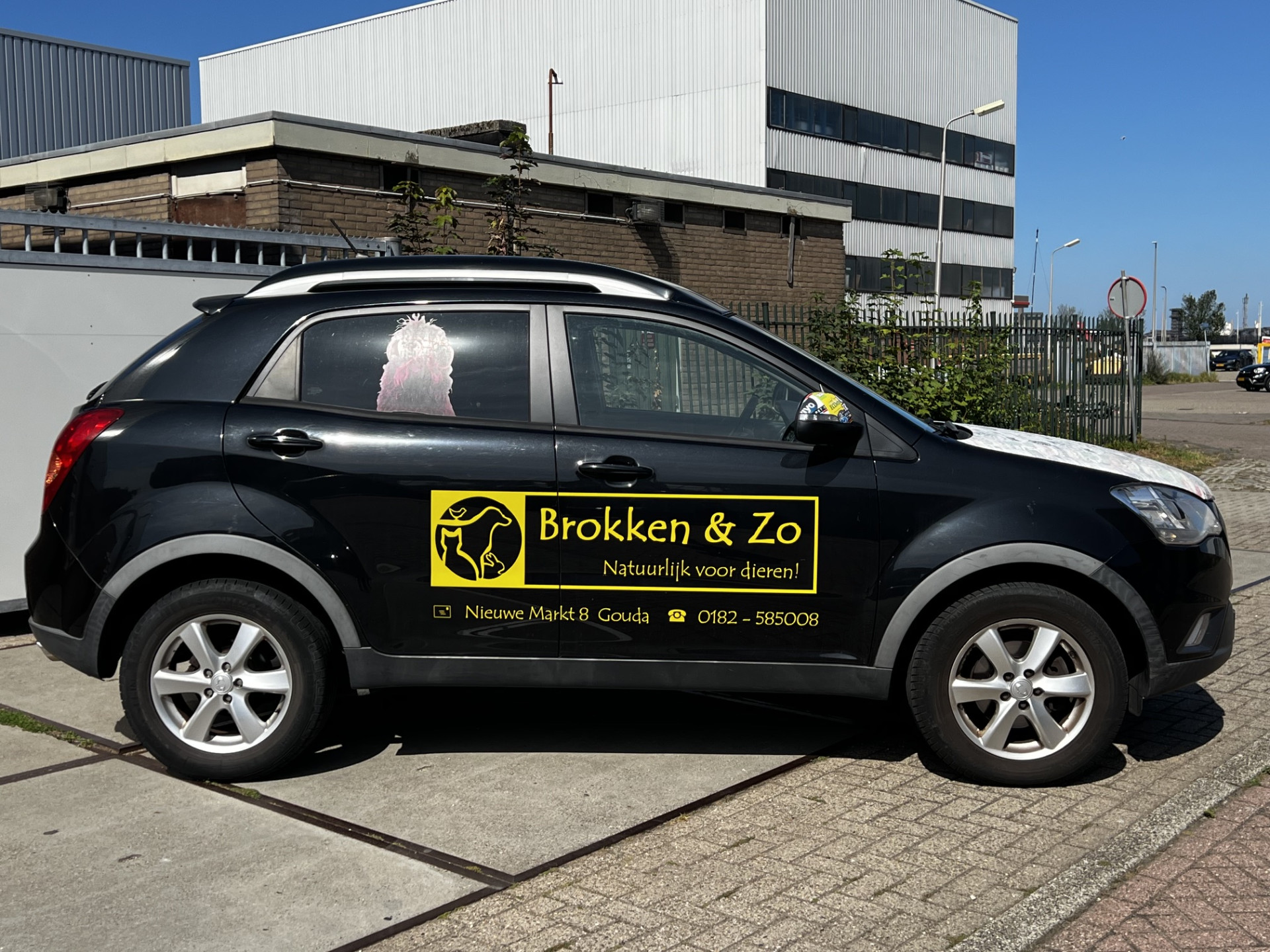 Foto van Ssangyong Ssangyong Korando
