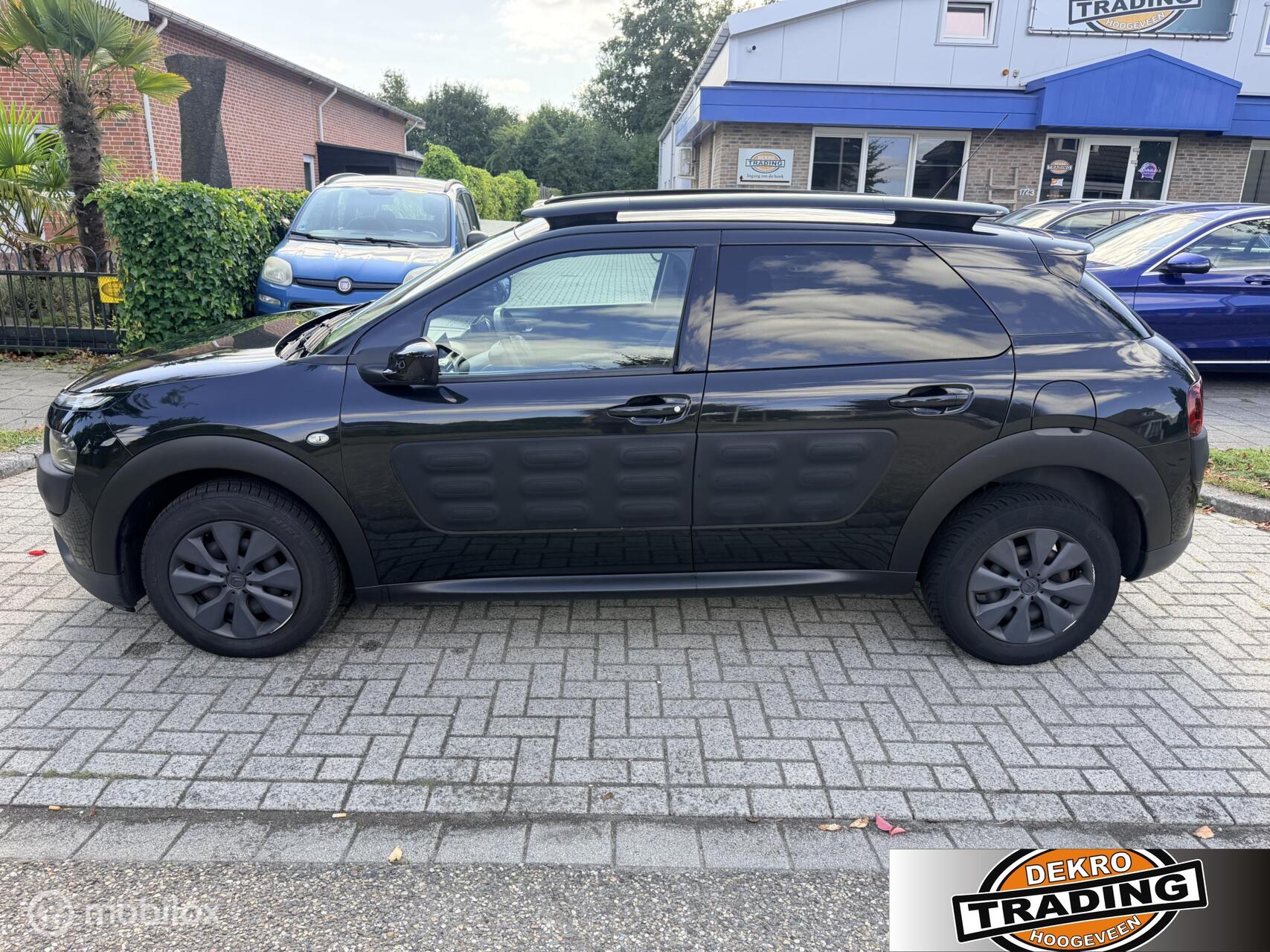 Foto van Citroen C4 Cactus