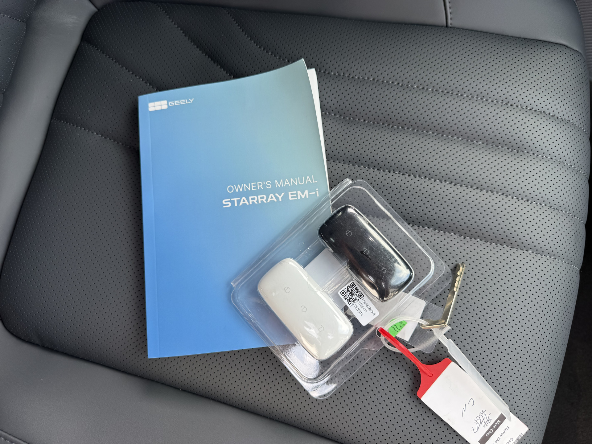 Foto van Geely Starray Em-i