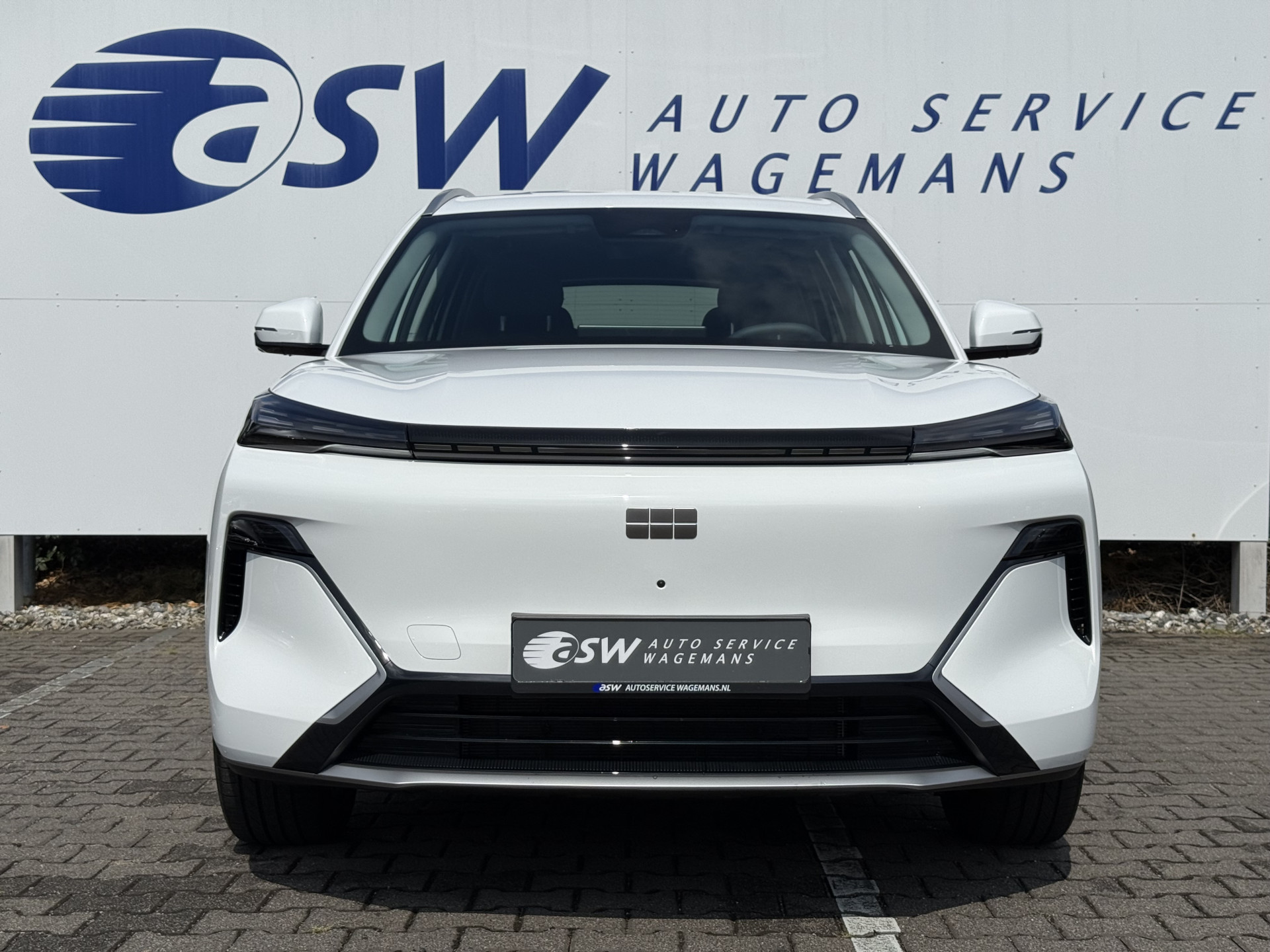 Foto van Geely Starray Em-i