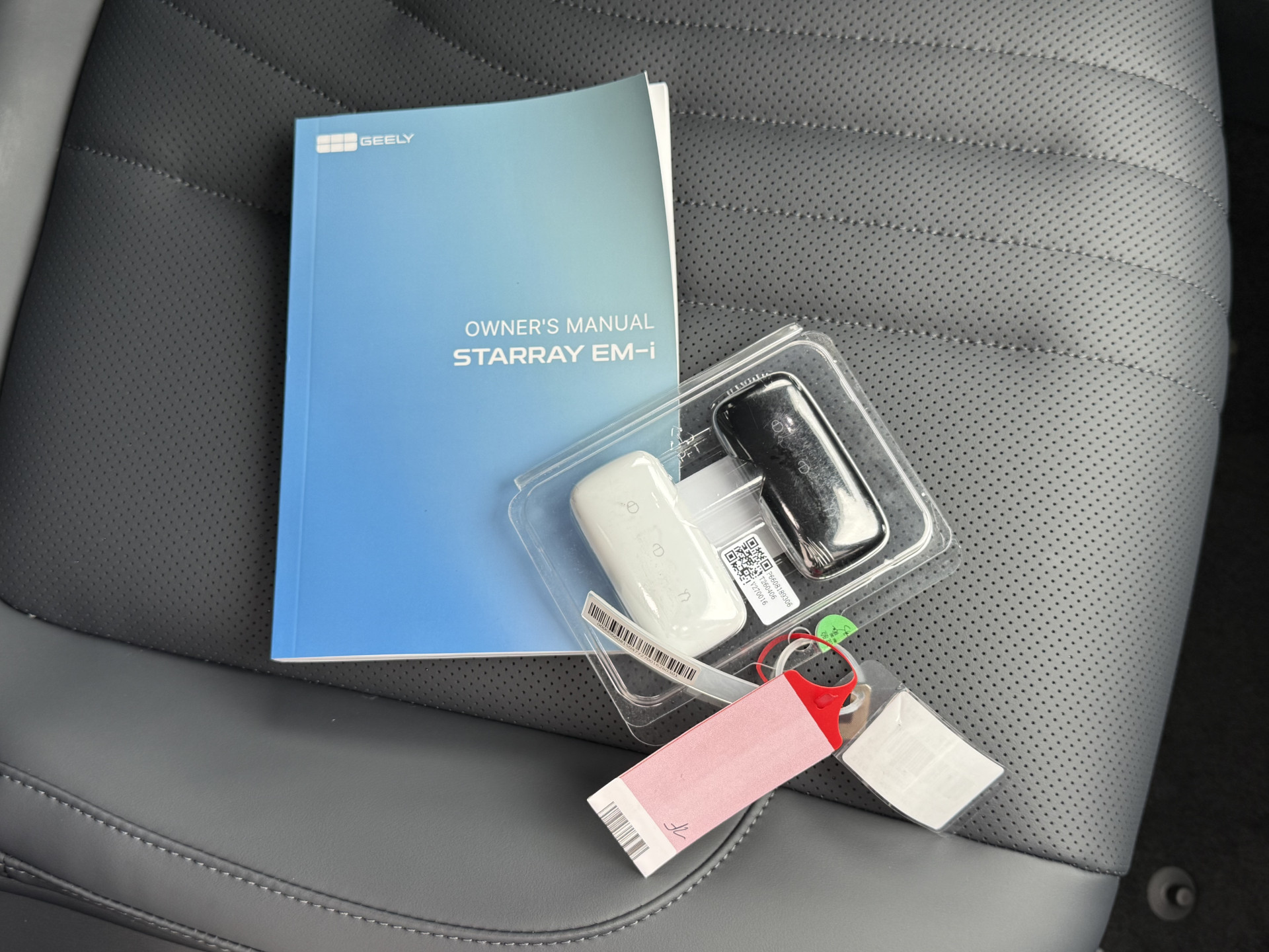 Foto van Geely Starray Em-i