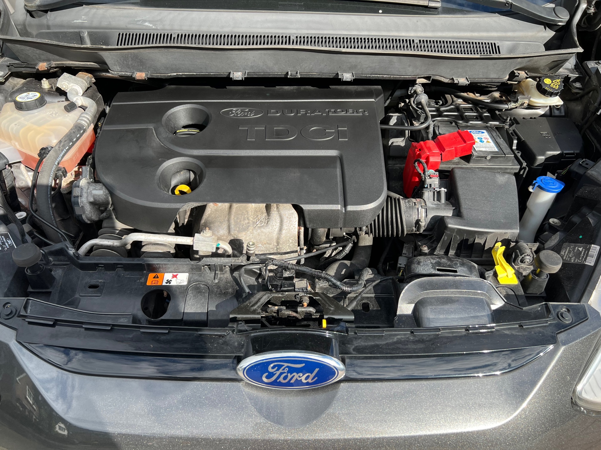 Foto van Ford B-max