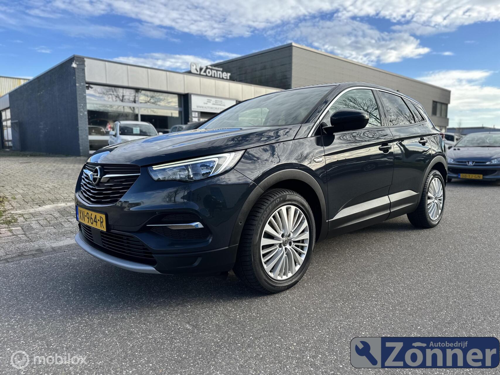 Foto van Opel Grandland X