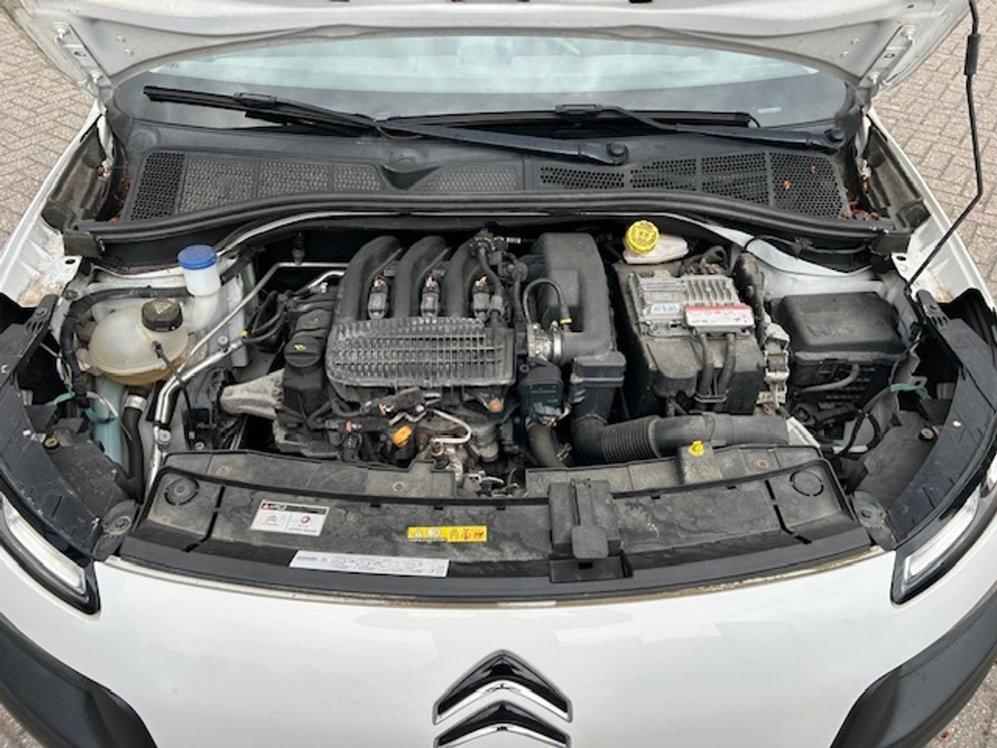 Foto van Citroen C4 Cactus