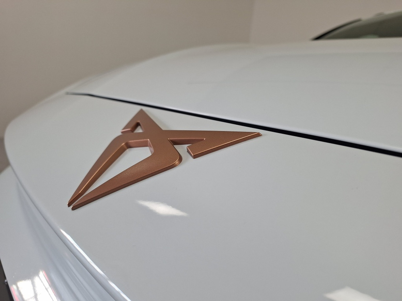 Foto van Cupra Cupra Leon SP E-hybrid150