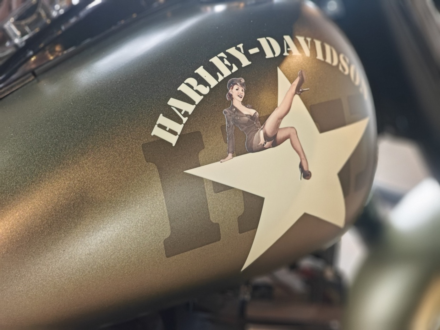 Foto van Harley-davidson Softail