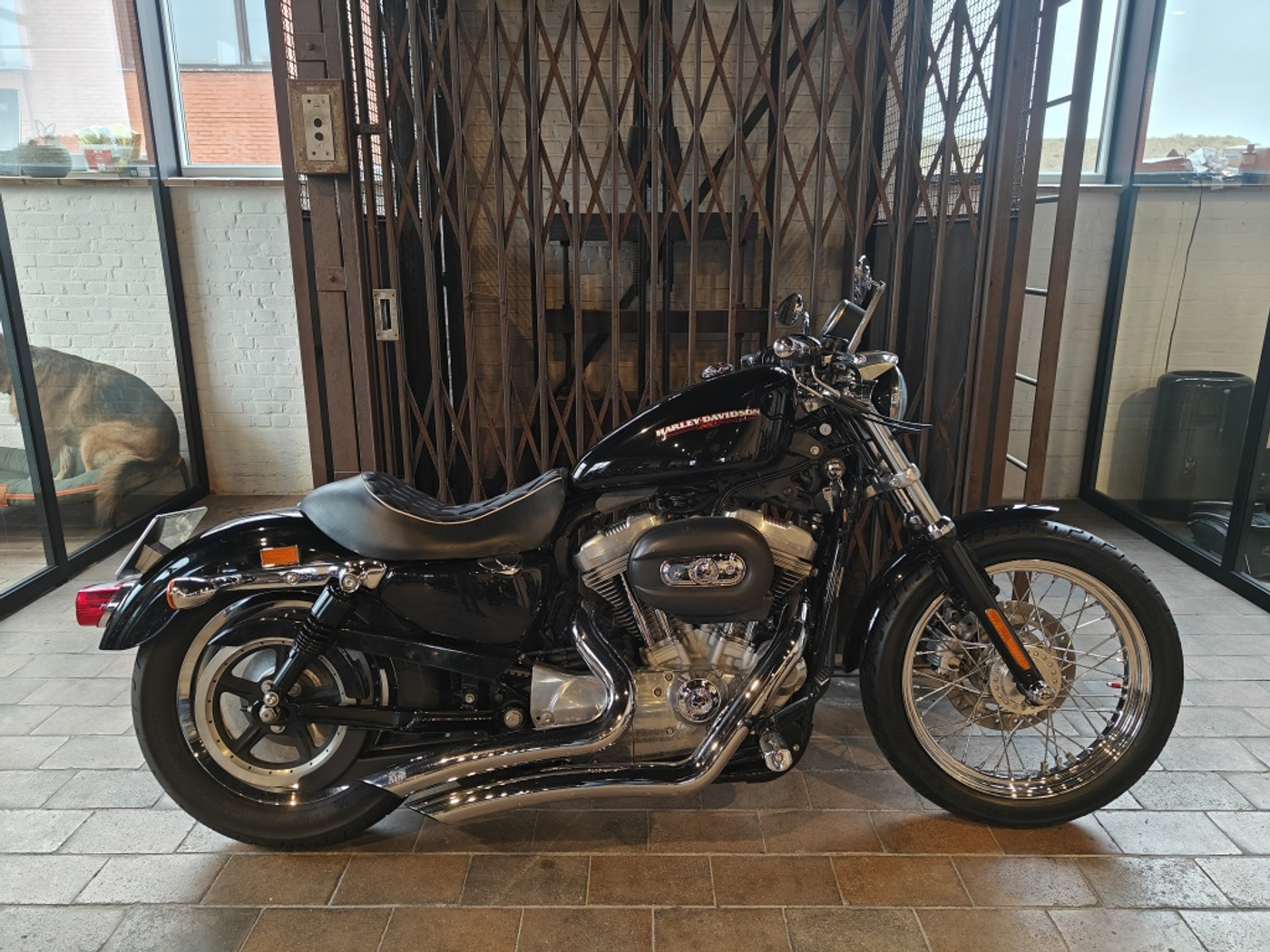 Harley-davidson Sportster XL883 2007 - voorkant