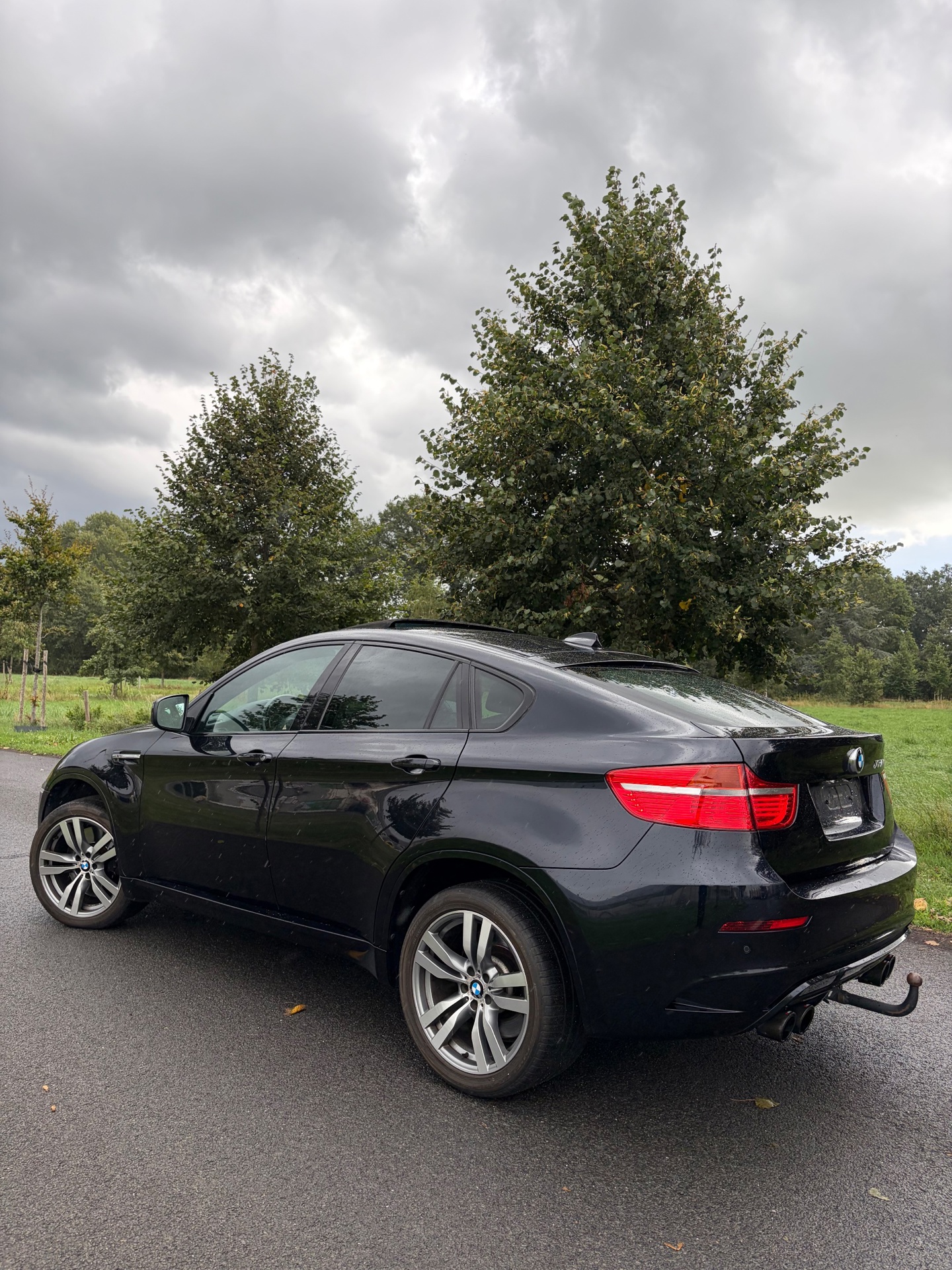 Foto van BMW X6 M