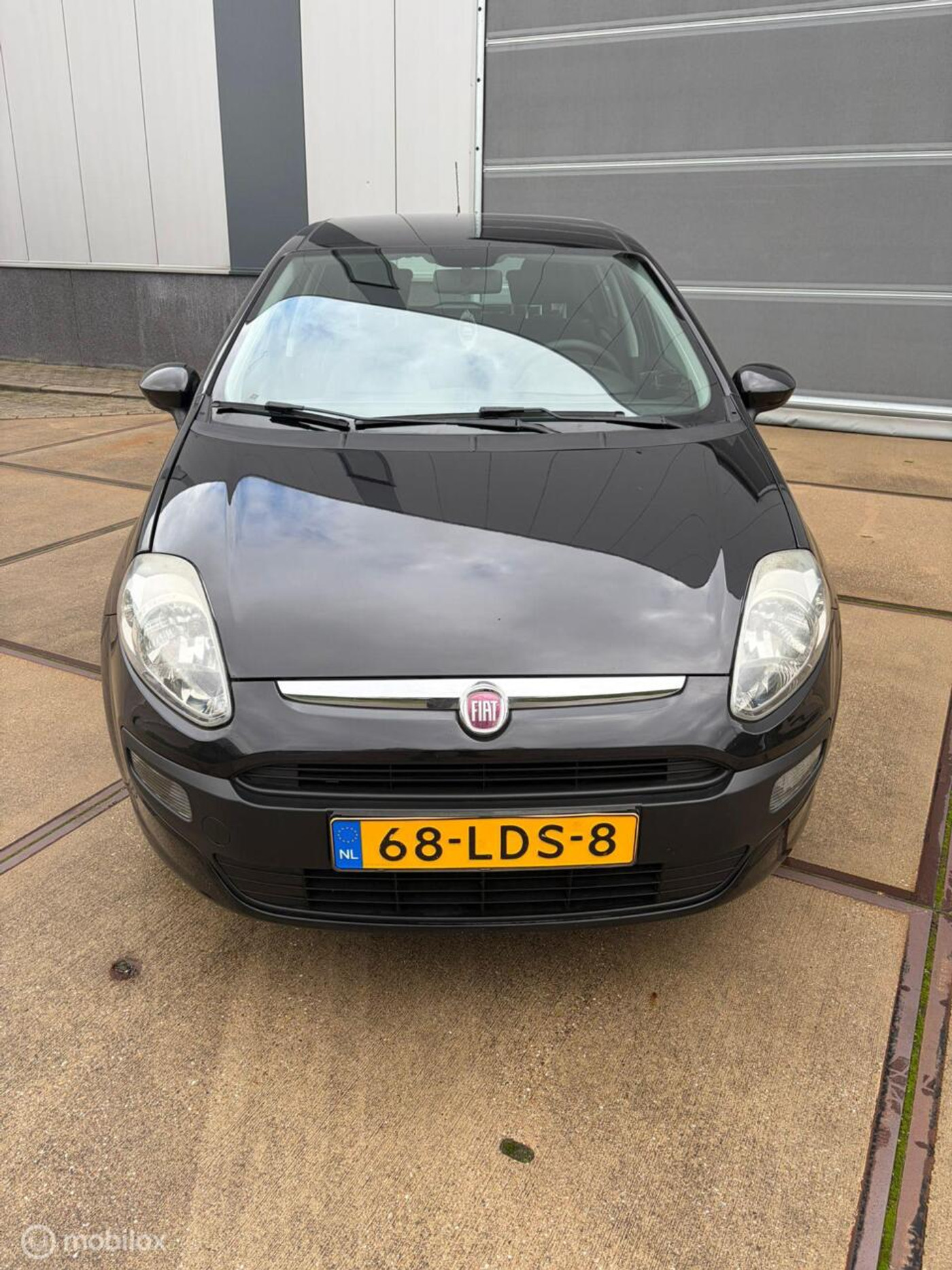 Foto van Fiat Fiat Punto