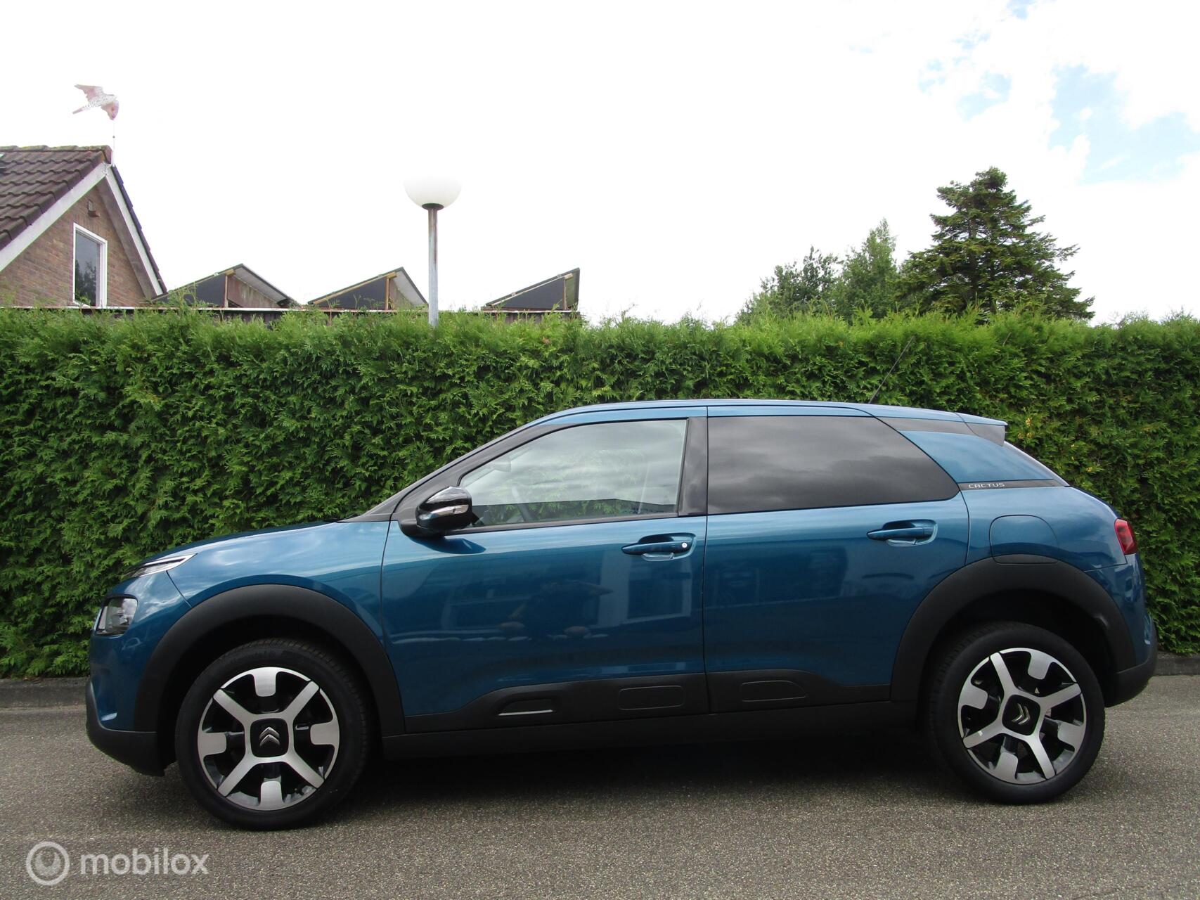 Foto van Citroen C4 Cactus