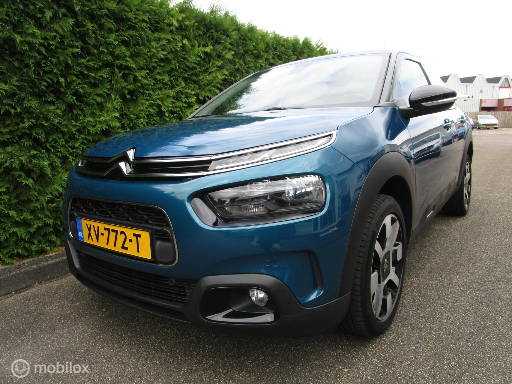Foto van Citroen C4 Cactus