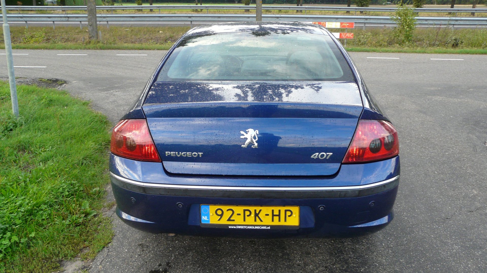 Foto van Peugeot 407