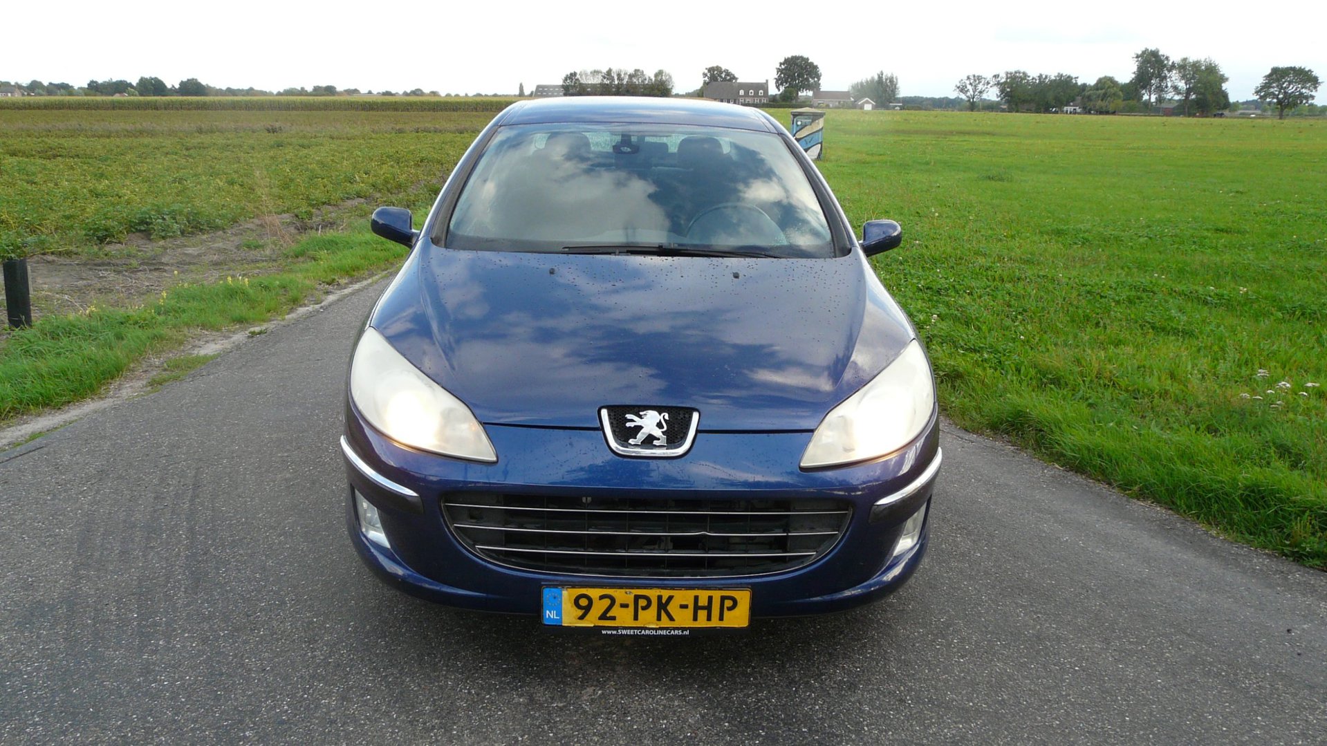 Foto van Peugeot 407