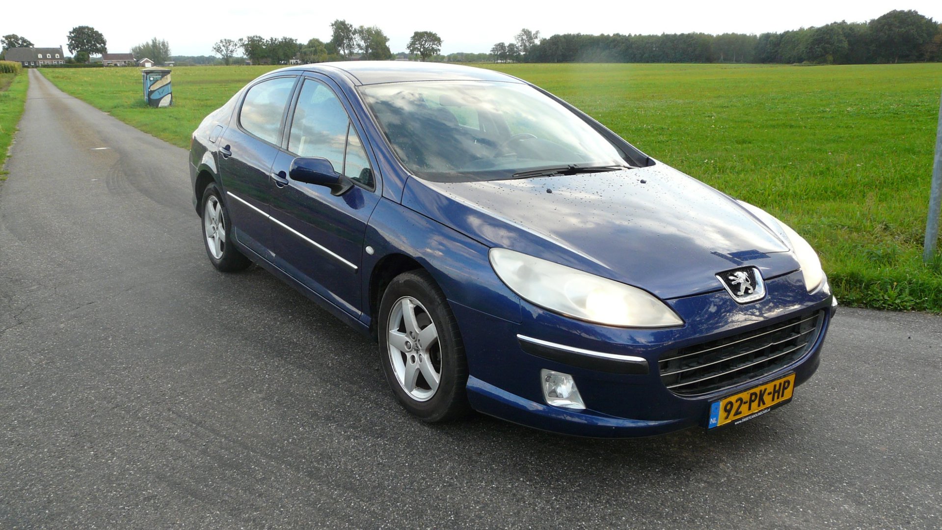 Foto van Peugeot 407