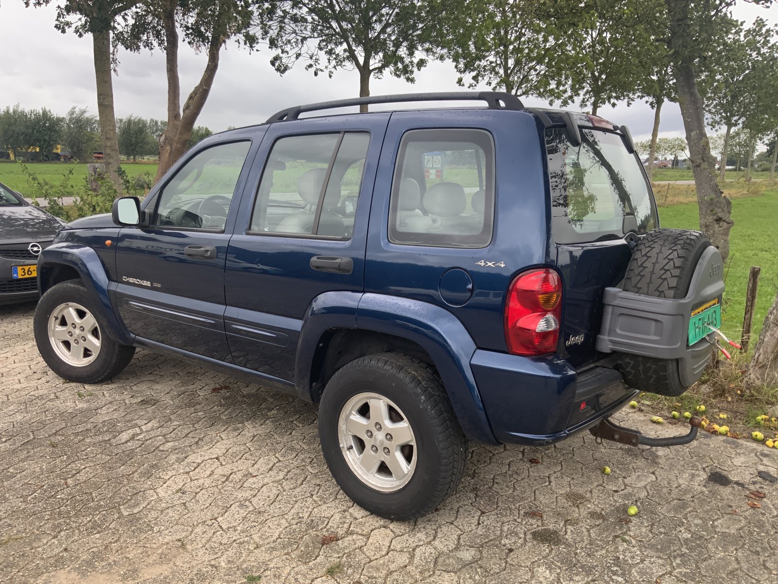 Inspectiefoto van Jeep Cherokee