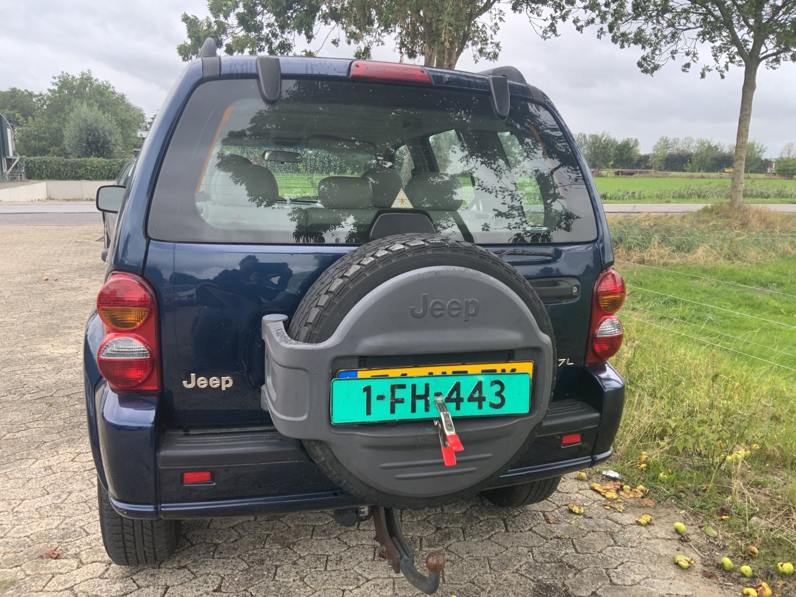 Inspectiefoto van Jeep Cherokee
