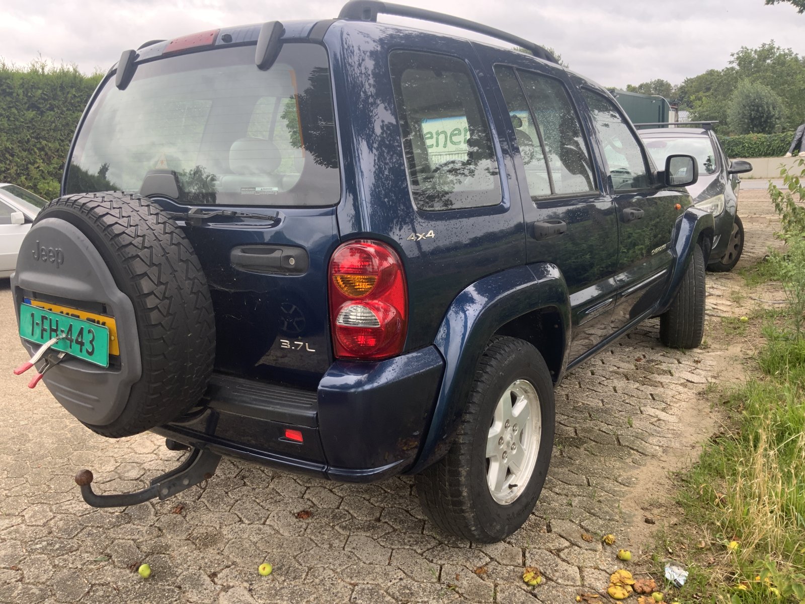 Inspectiefoto van Jeep Cherokee