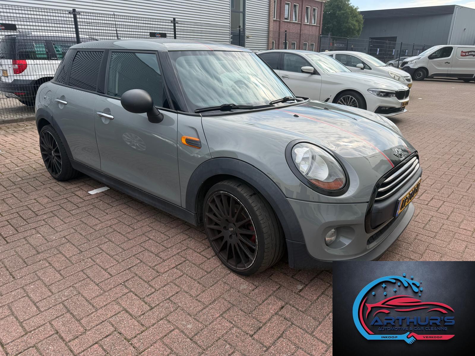 Foto van Mini One D