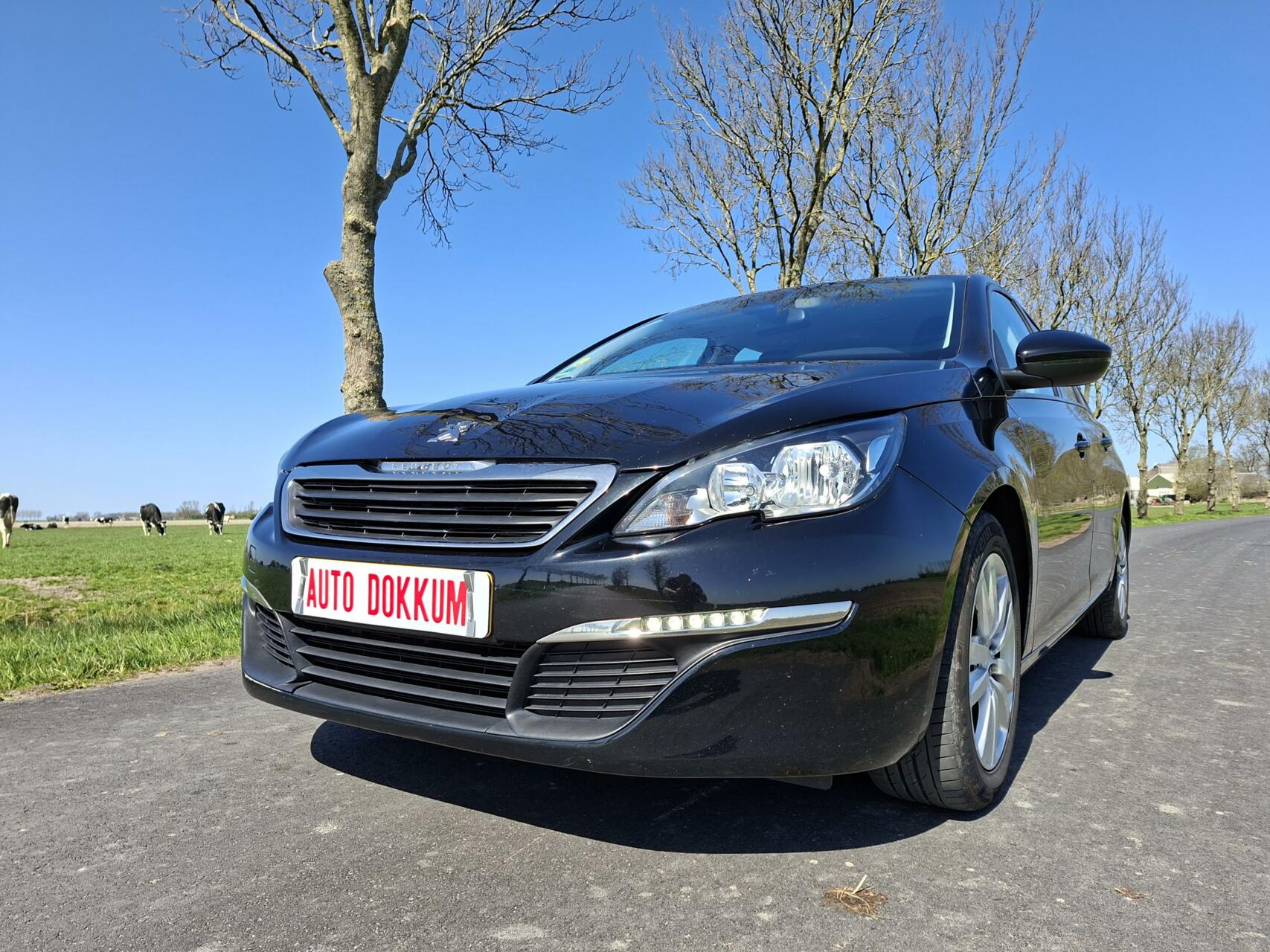 Foto van Peugeot 308 SW