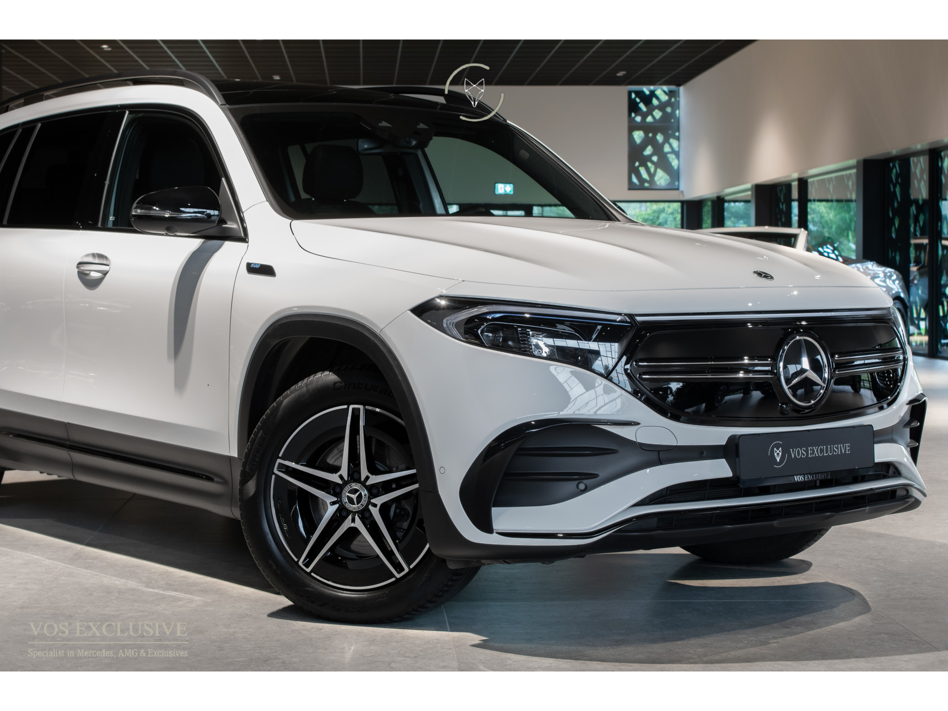 Foto van Mercedes-Benz Eqb 300 4Matic