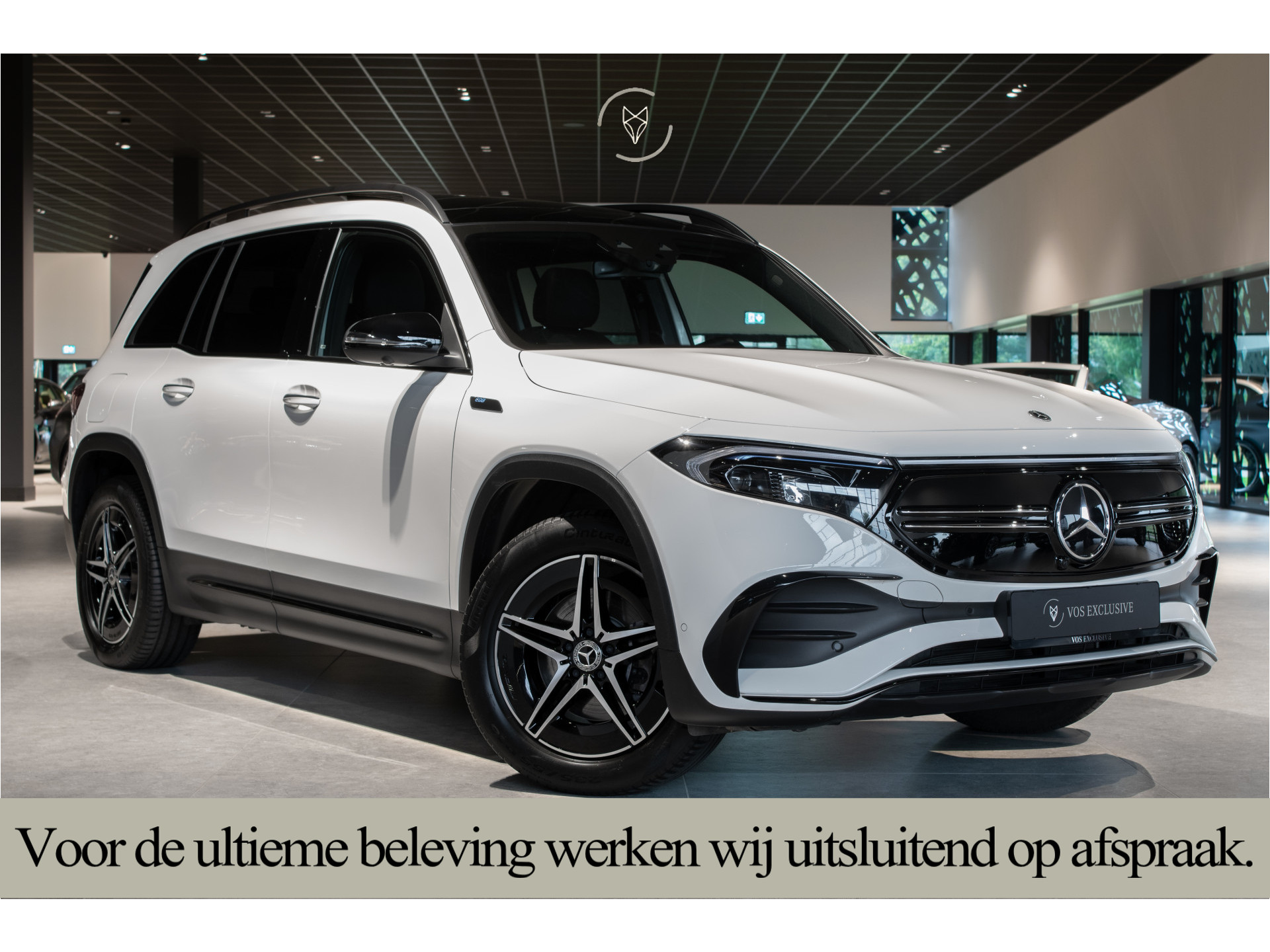 Foto van Mercedes-Benz Eqb 300 4Matic