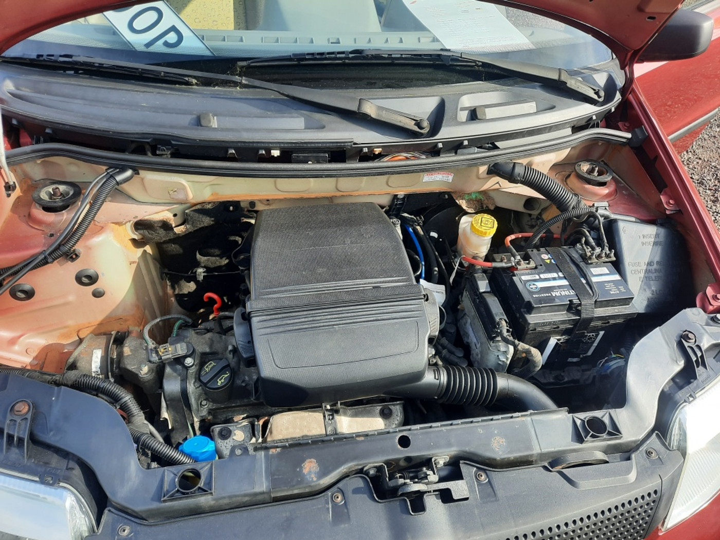 Foto van Fiat Fiat Panda
