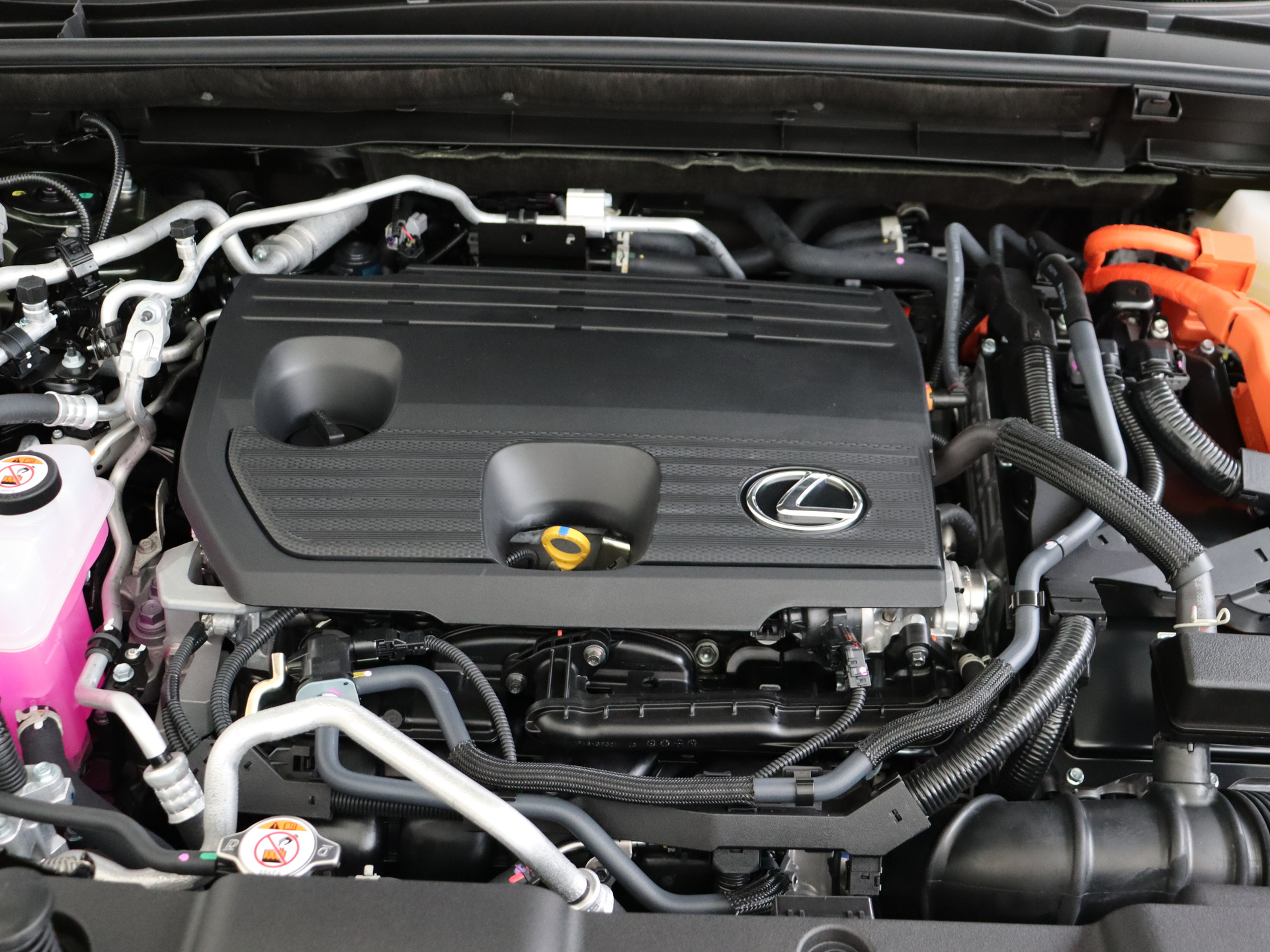 Foto van Lexus Lexus Nx450h+