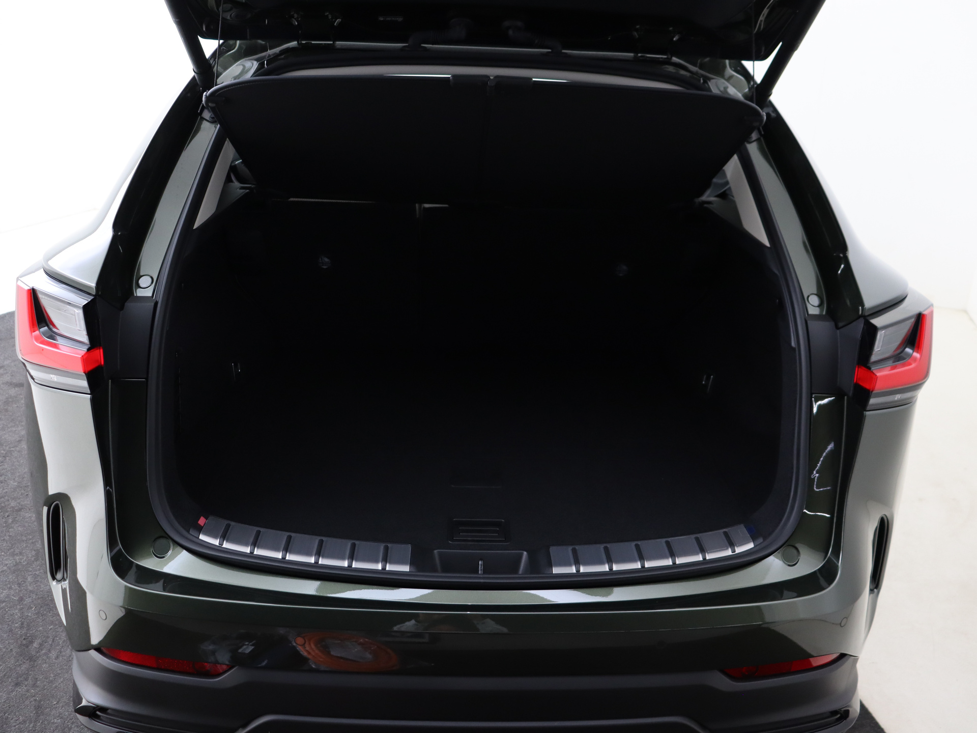 Foto van Lexus Lexus Nx450h+