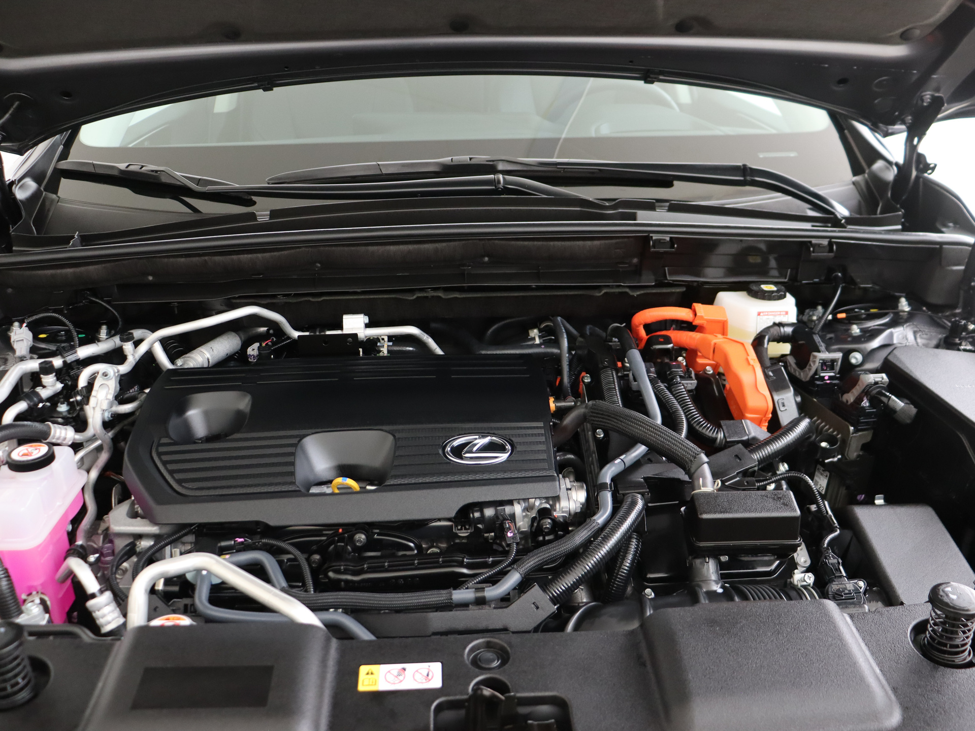 Foto van Lexus Lexus Nx450h+
