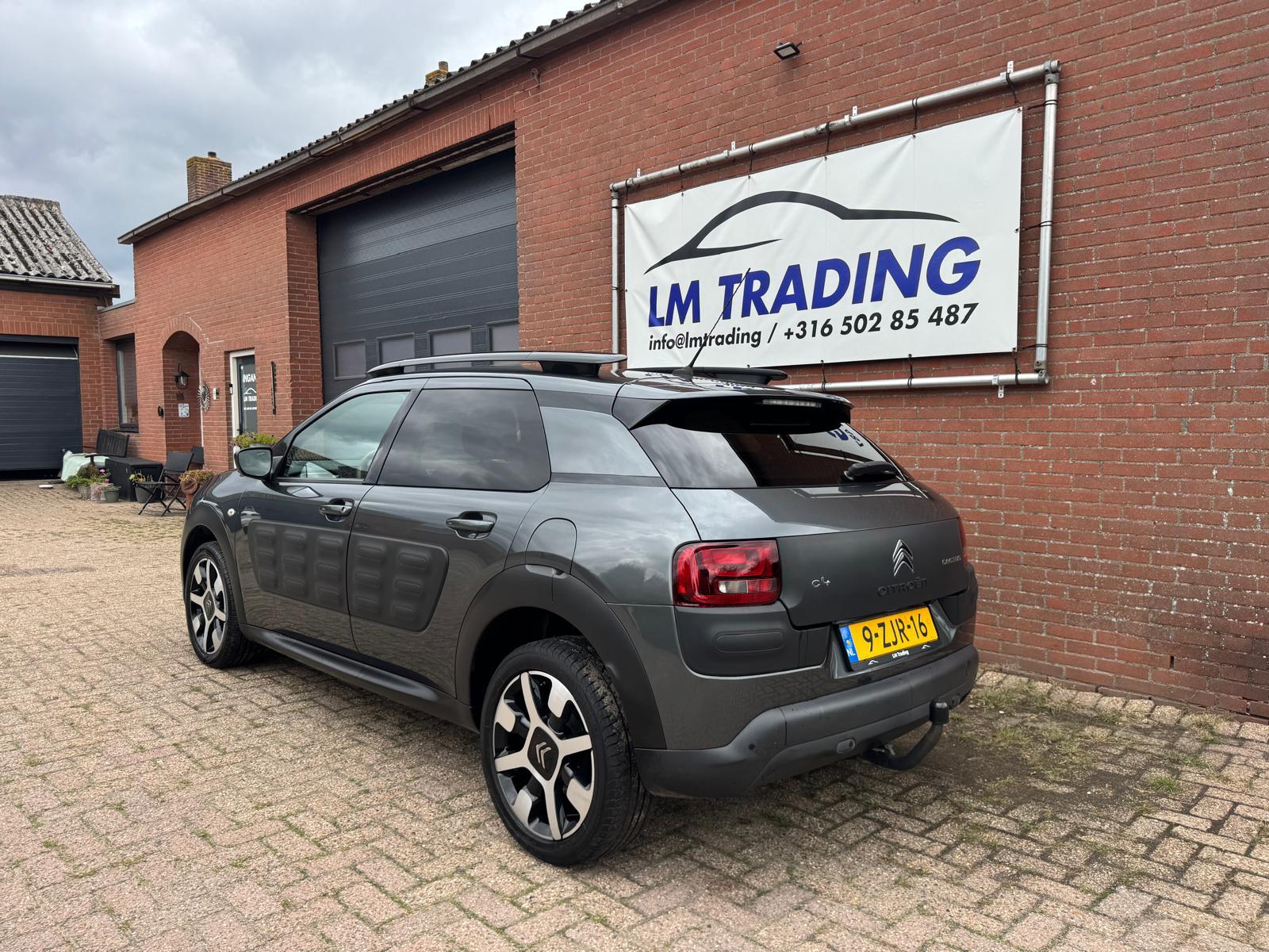 Foto van Citroen C4 Cactus