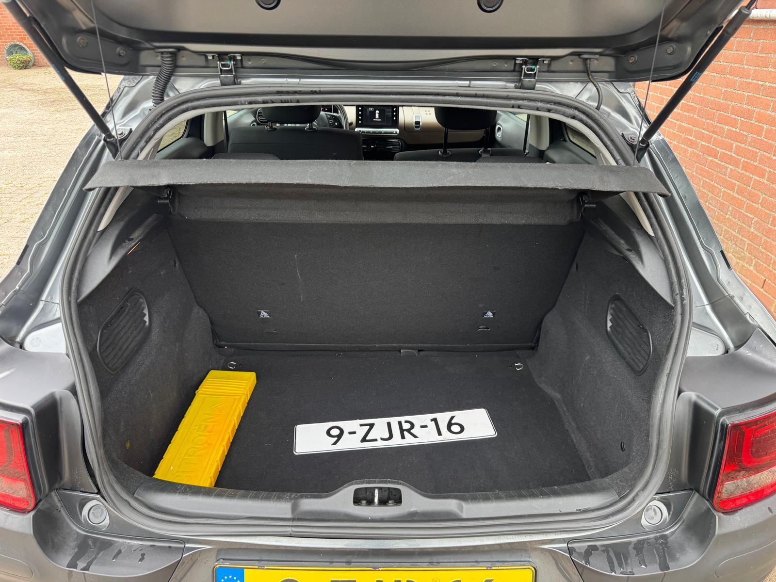 Foto van Citroen C4 Cactus