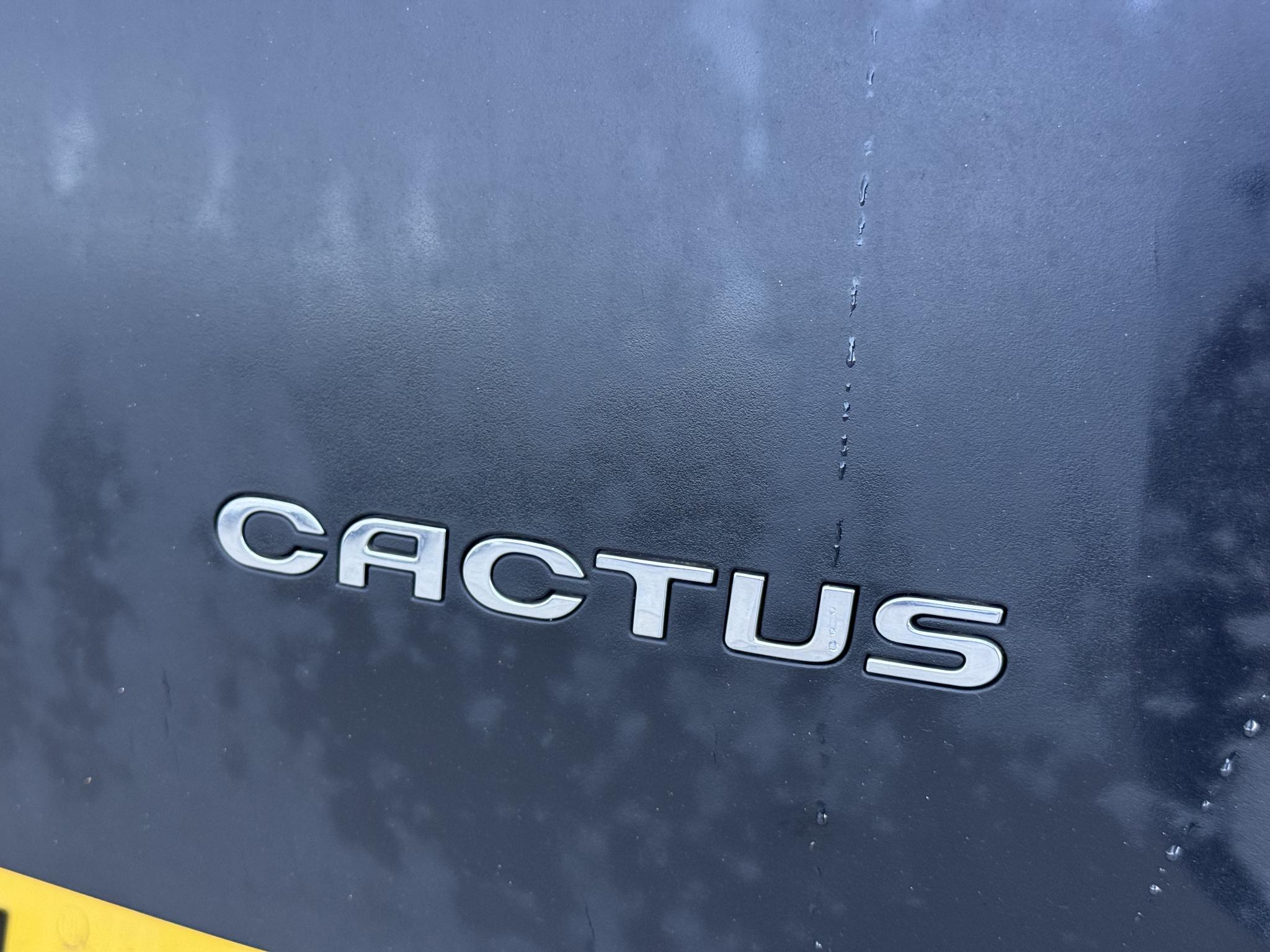 Foto van Citroen C4 Cactus