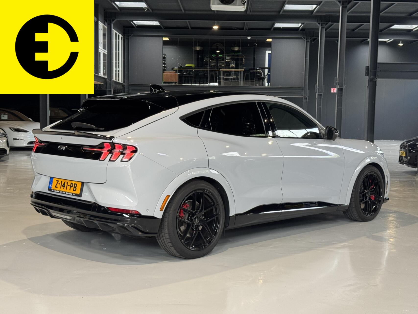 Foto van Ford Mustang Mach-e