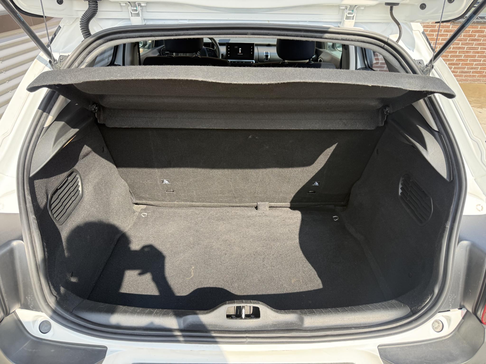 Foto van Citroen C4 Cactus