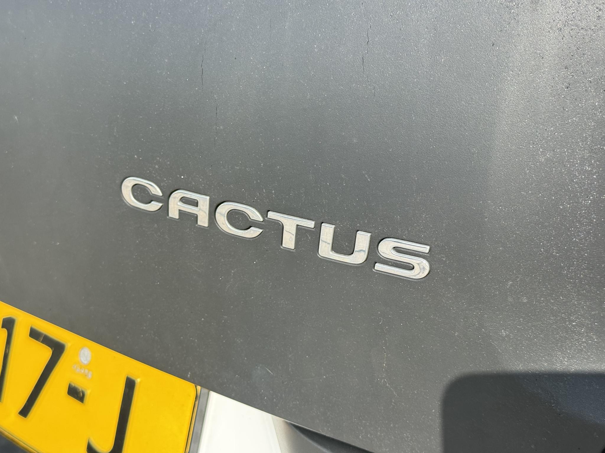 Foto van Citroen C4 Cactus