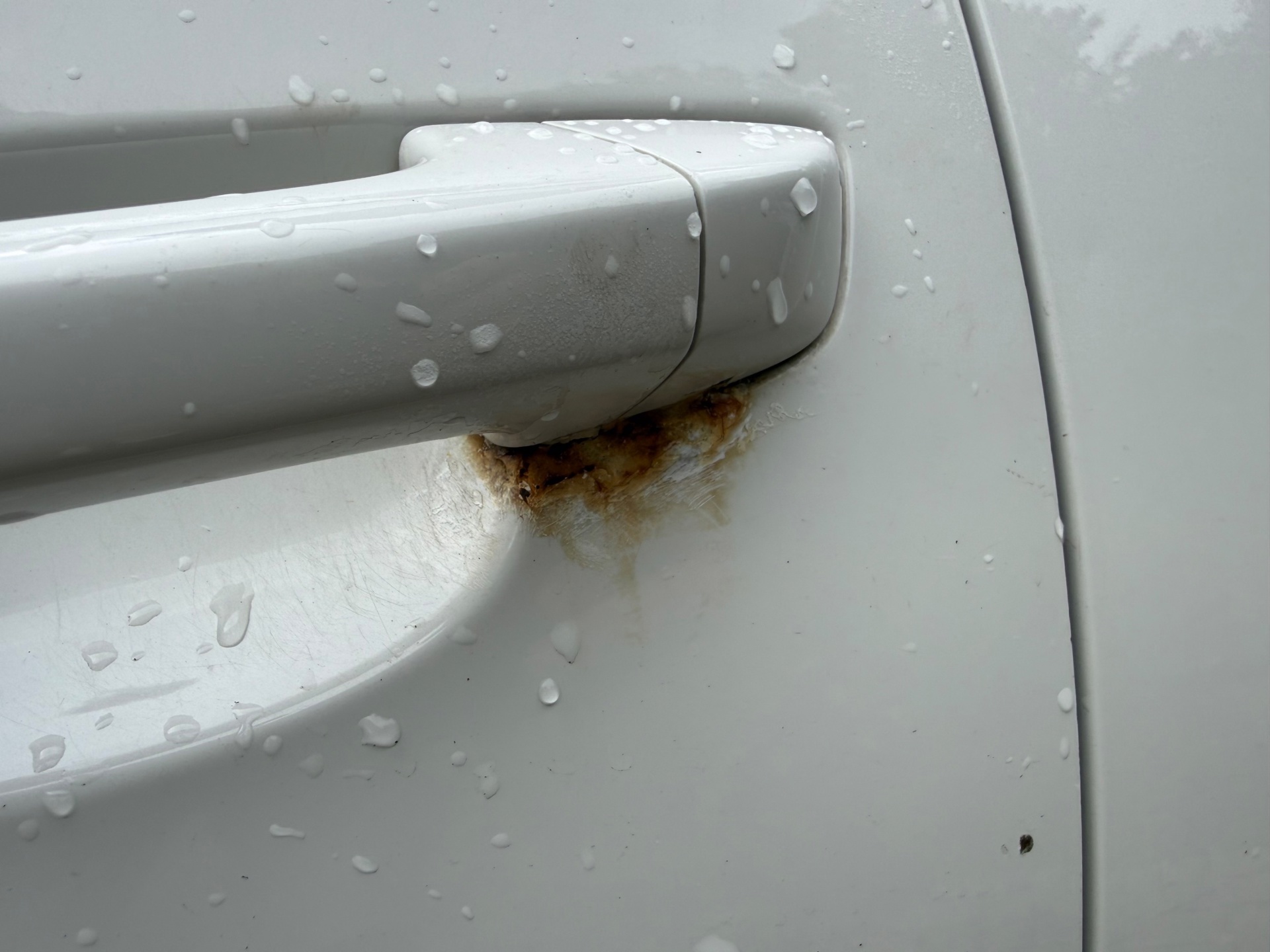 Foto van Volkswagen Golf Variant