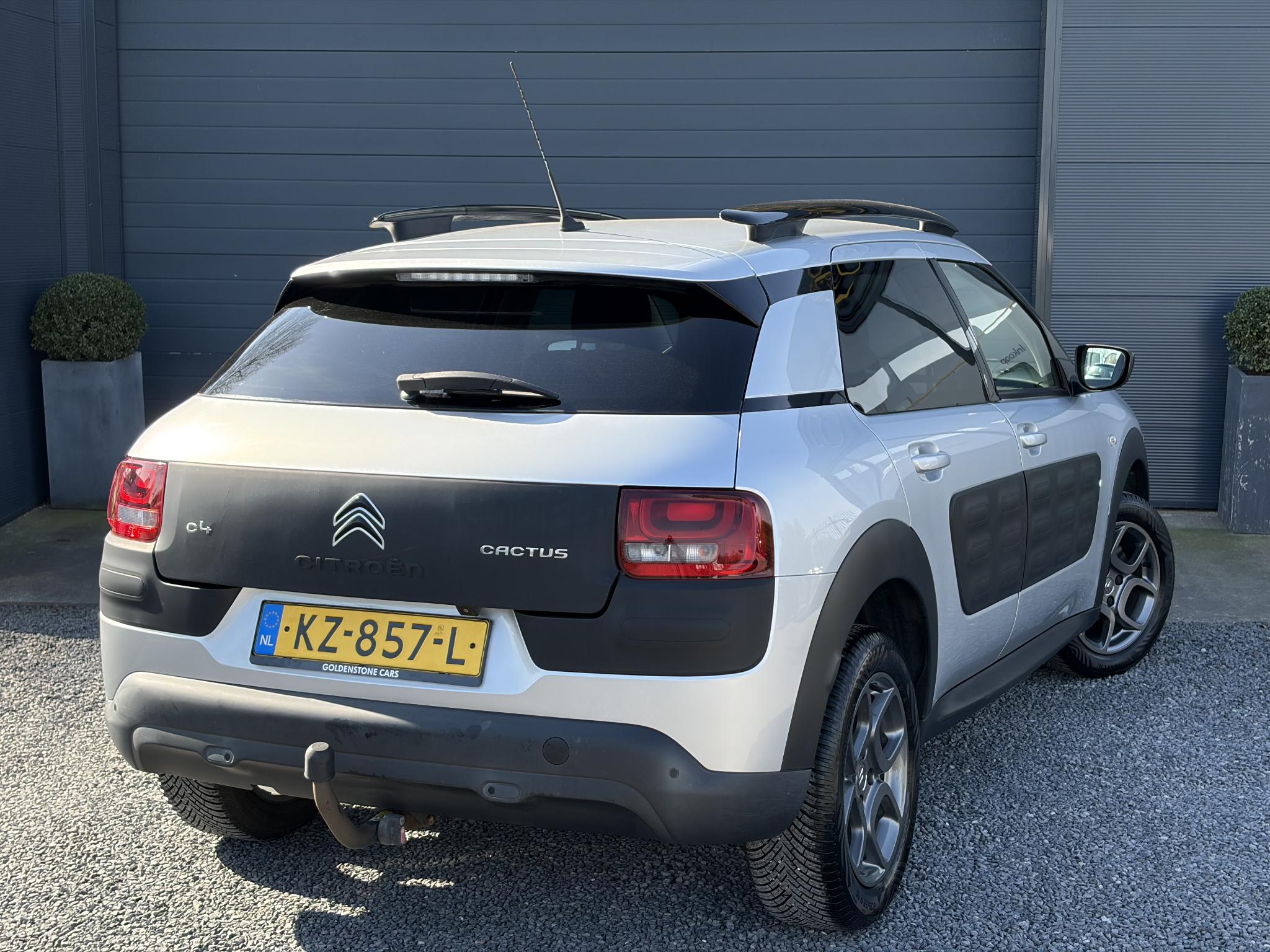 Foto van Citroen C4 Cactus
