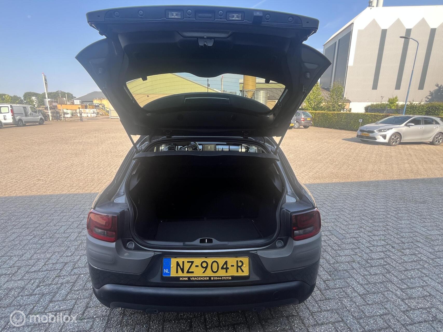 Foto van Citroen C4 Cactus