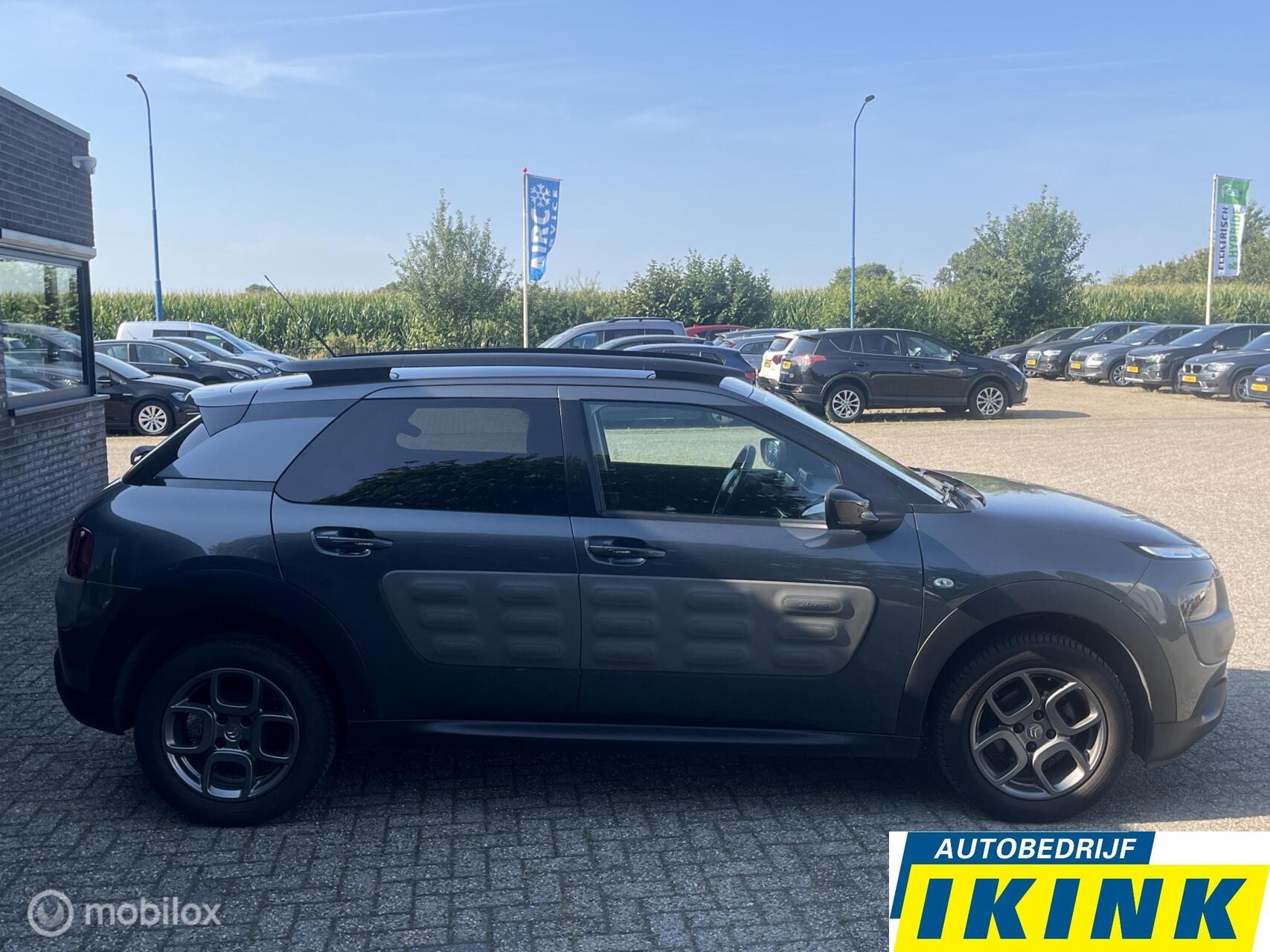 Foto van Citroen C4 Cactus