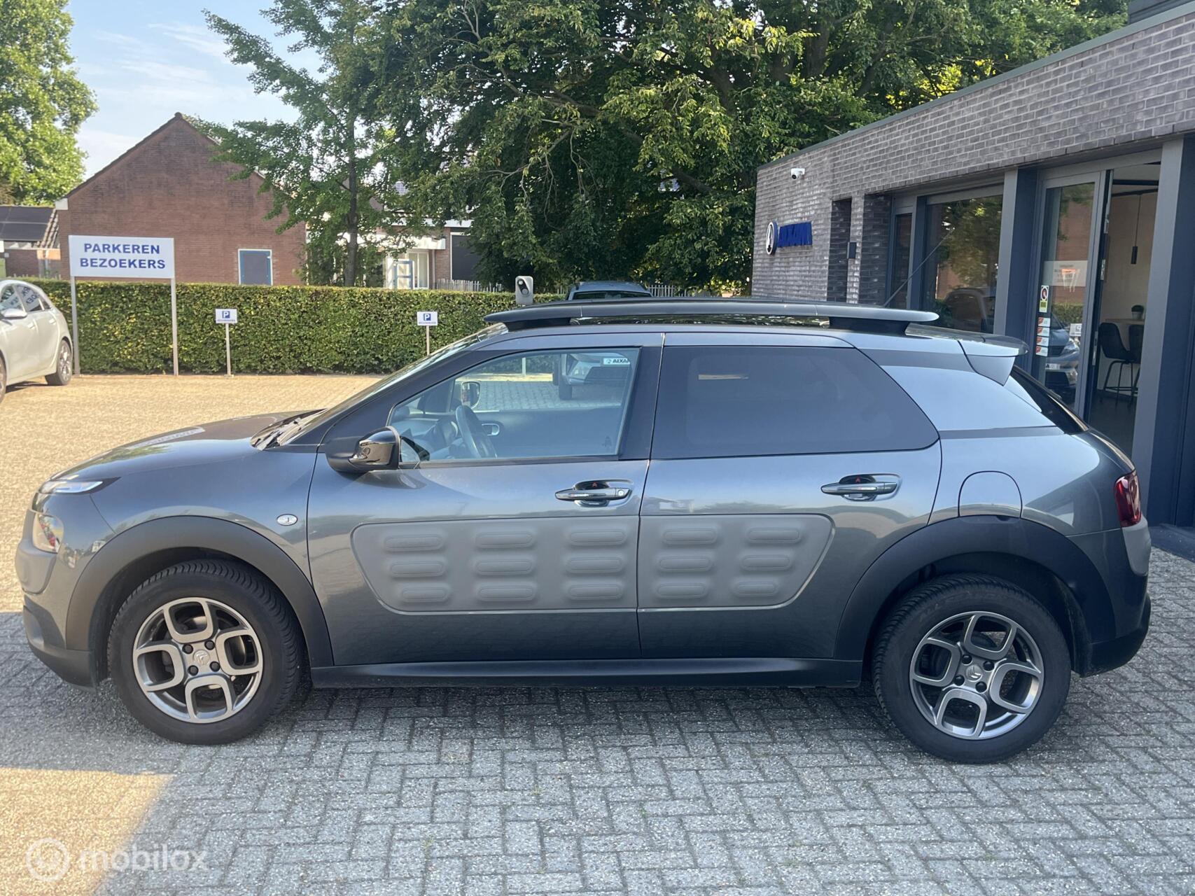 Foto van Citroen C4 Cactus