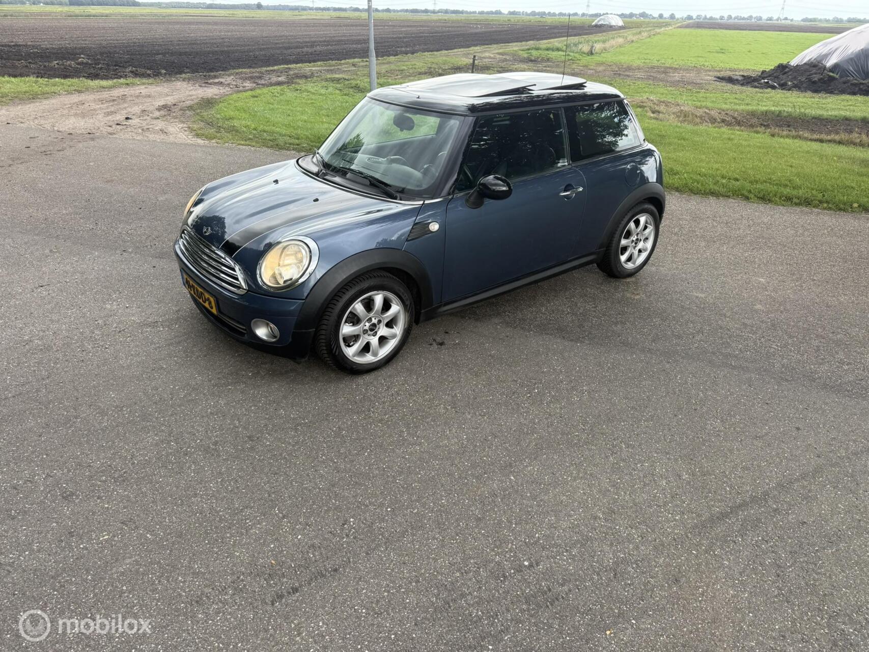 Foto van Mini Mini Cooper