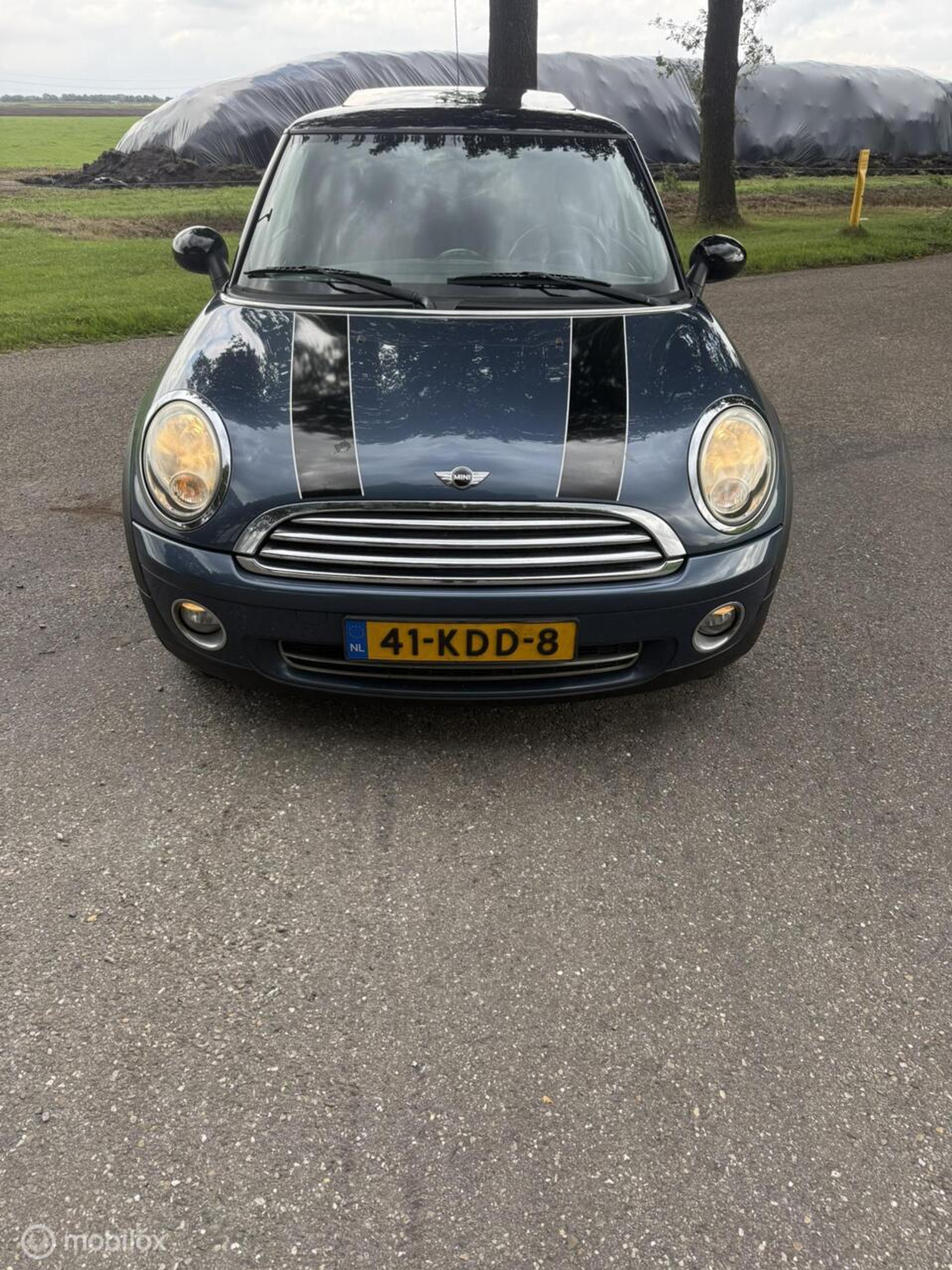 Foto van Mini Mini Cooper