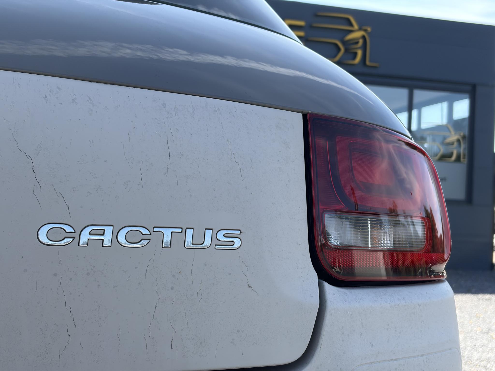 Foto van Citroen C4 Cactus