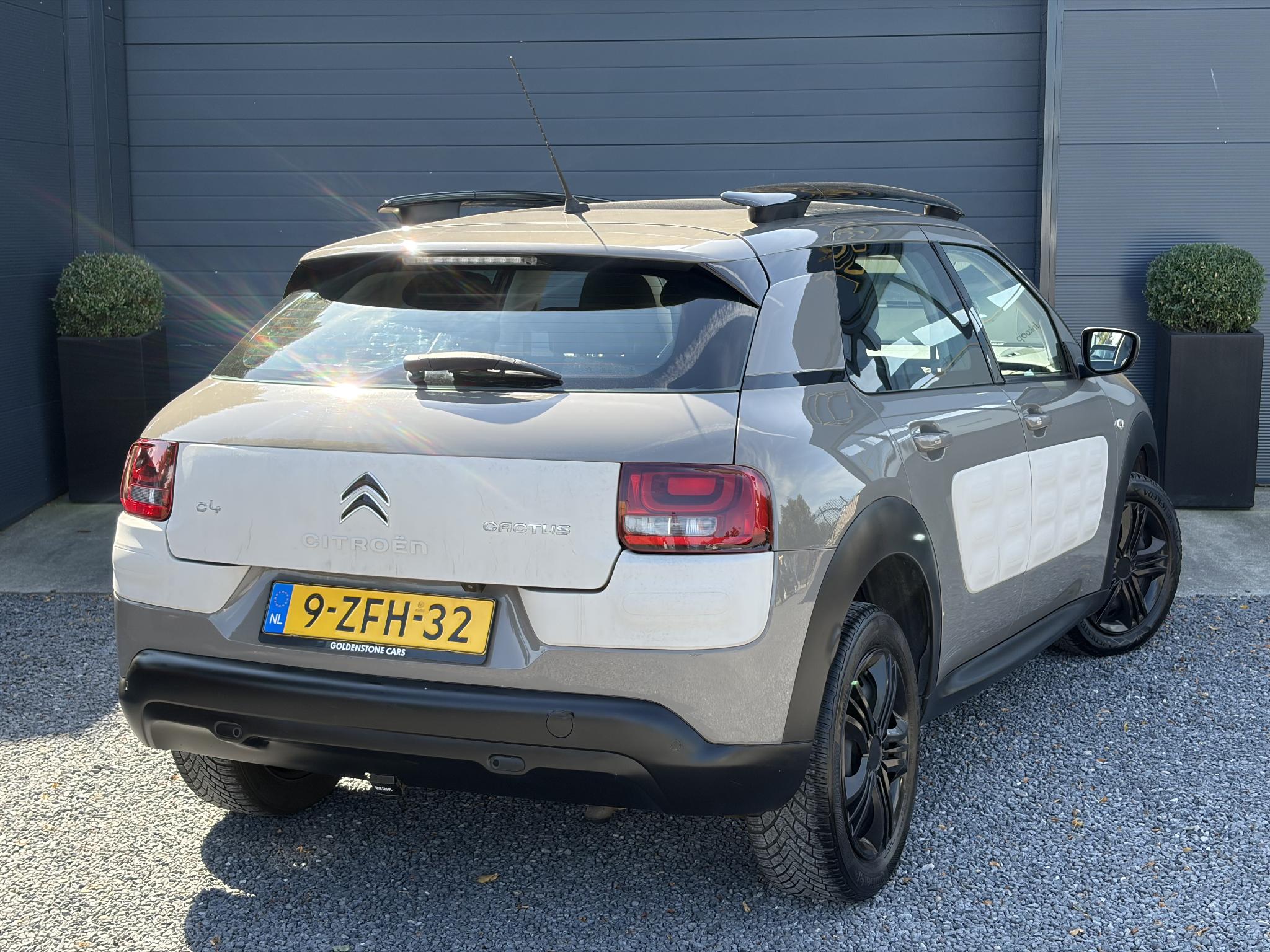 Foto van Citroen C4 Cactus