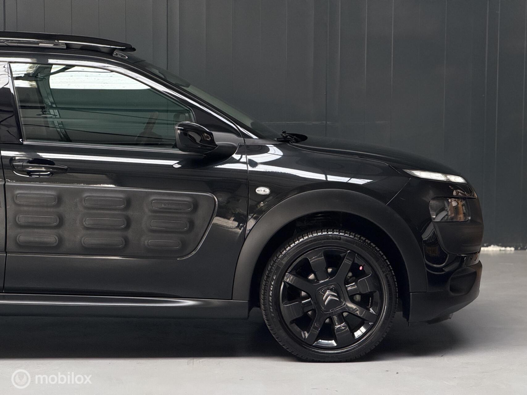 Foto van Citroen C4 Cactus