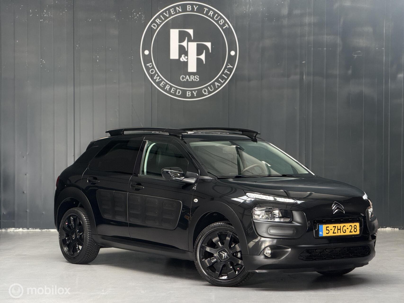 Foto van Citroen C4 Cactus