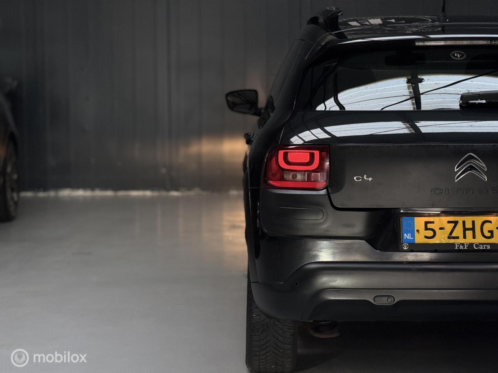 Foto van Citroen C4 Cactus